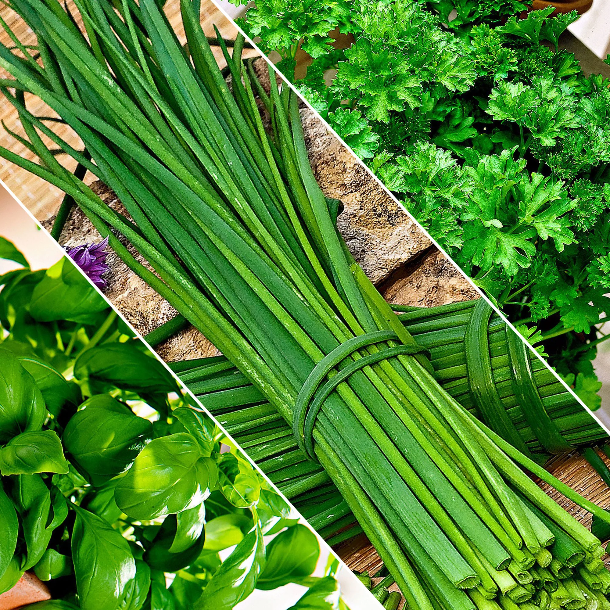 Mélange d'herbes aromatiques en seaux métalliques - Image 2