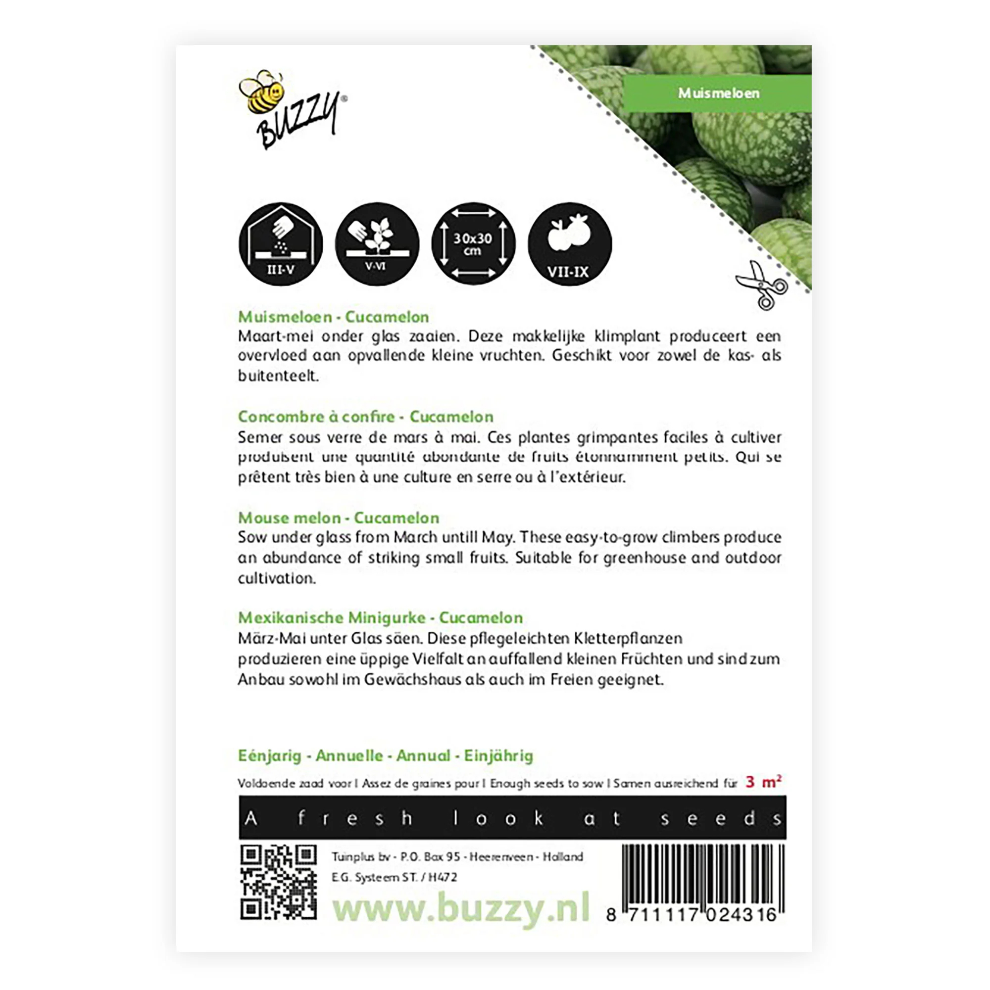 Melon souris Melothria 'Cucamelon' 3 m² - Semences de fruits - Image 4
