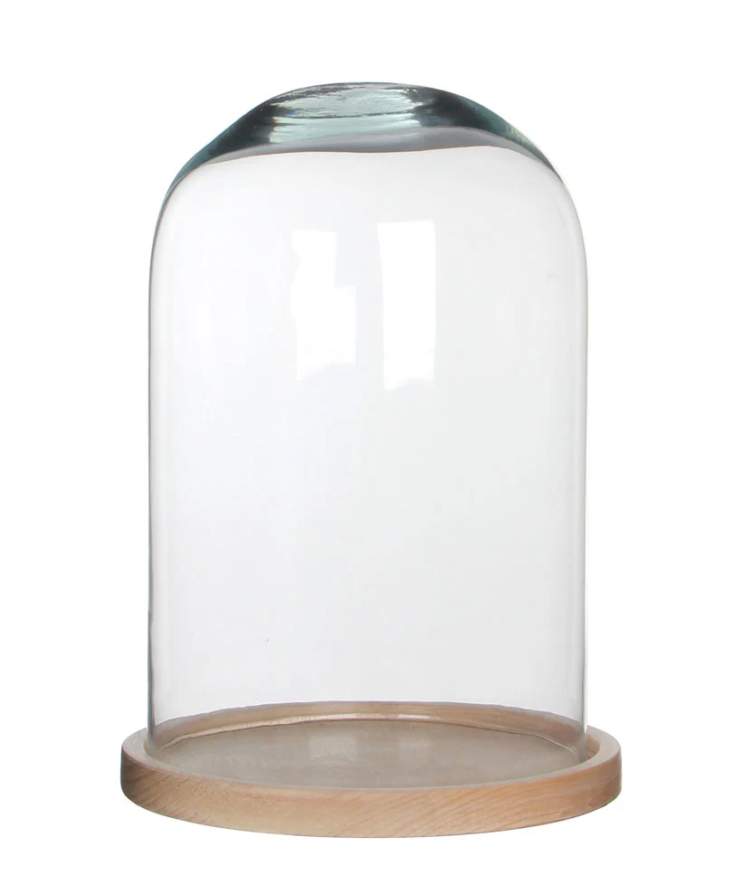Mica Cloche en verre Hella sur soucoupe en bois