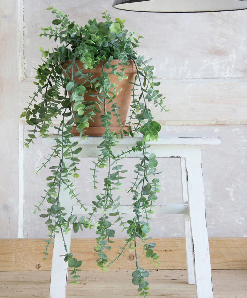 Plantes artificielles populaires