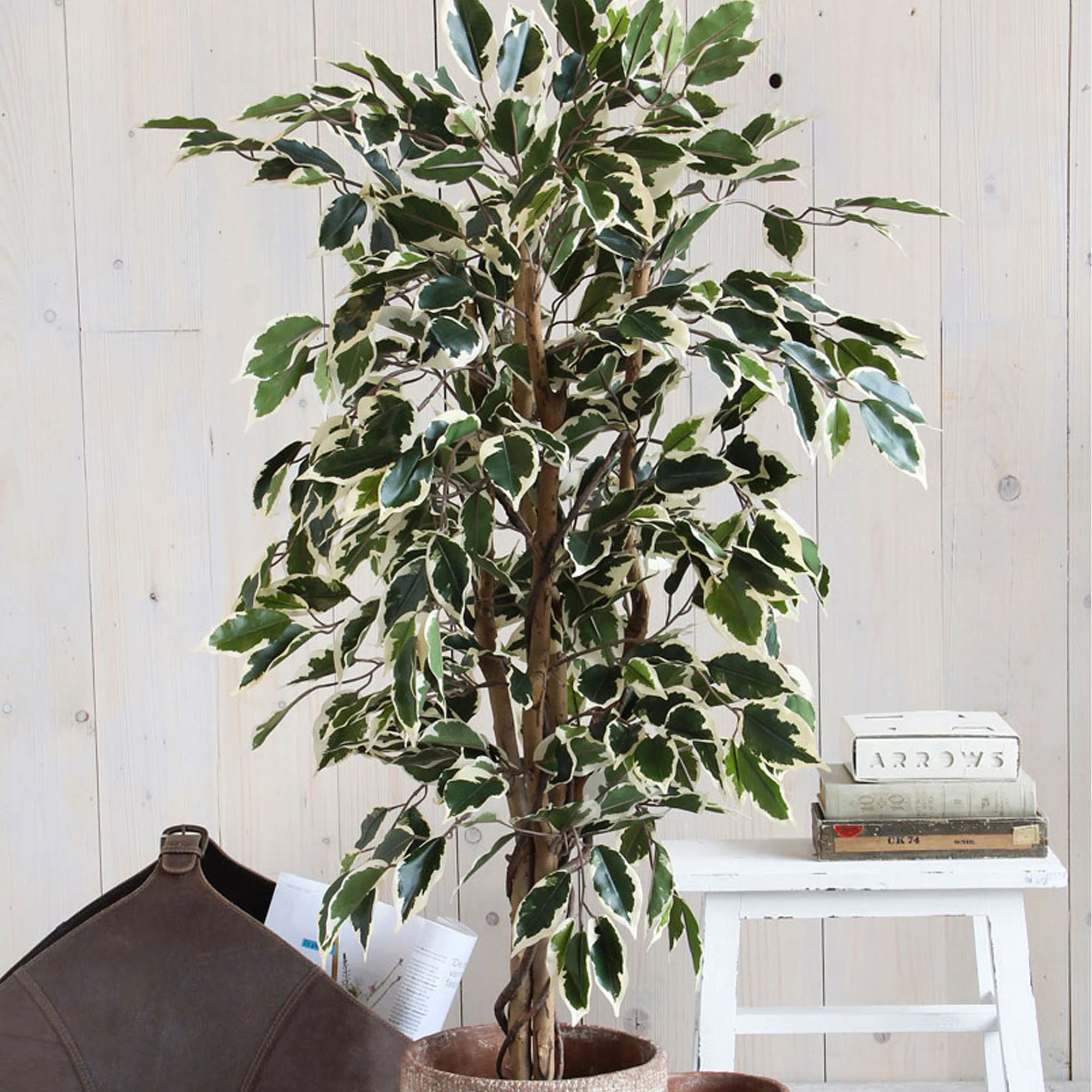 Mica Ficus ‘Benjamina Hawaii’ artif.