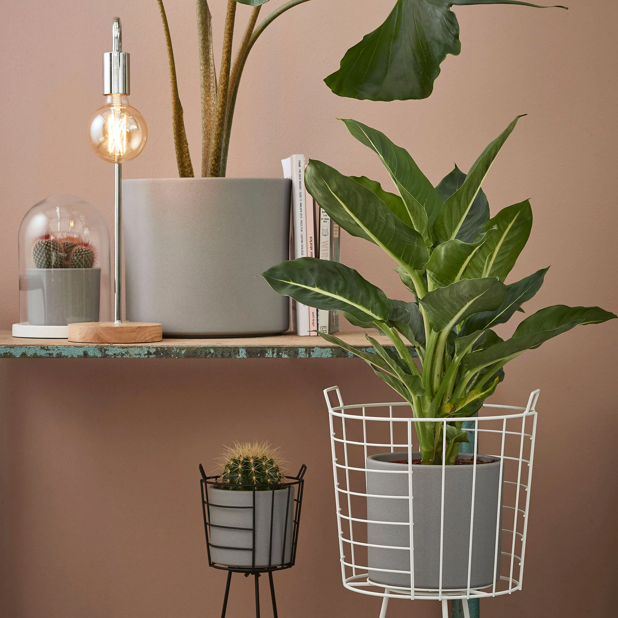 Miniature 1