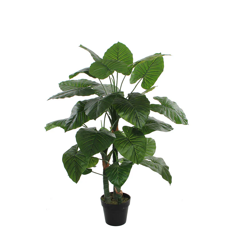 Mica Taro artificiel - Image 4