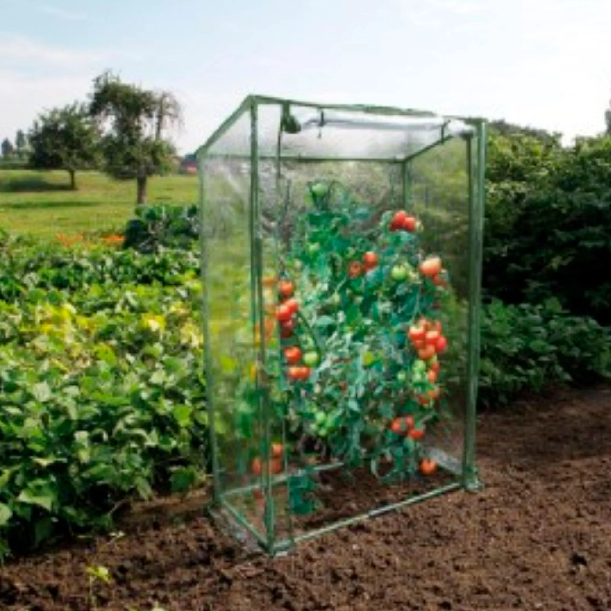 Nature Coffre de jardin en métal vert