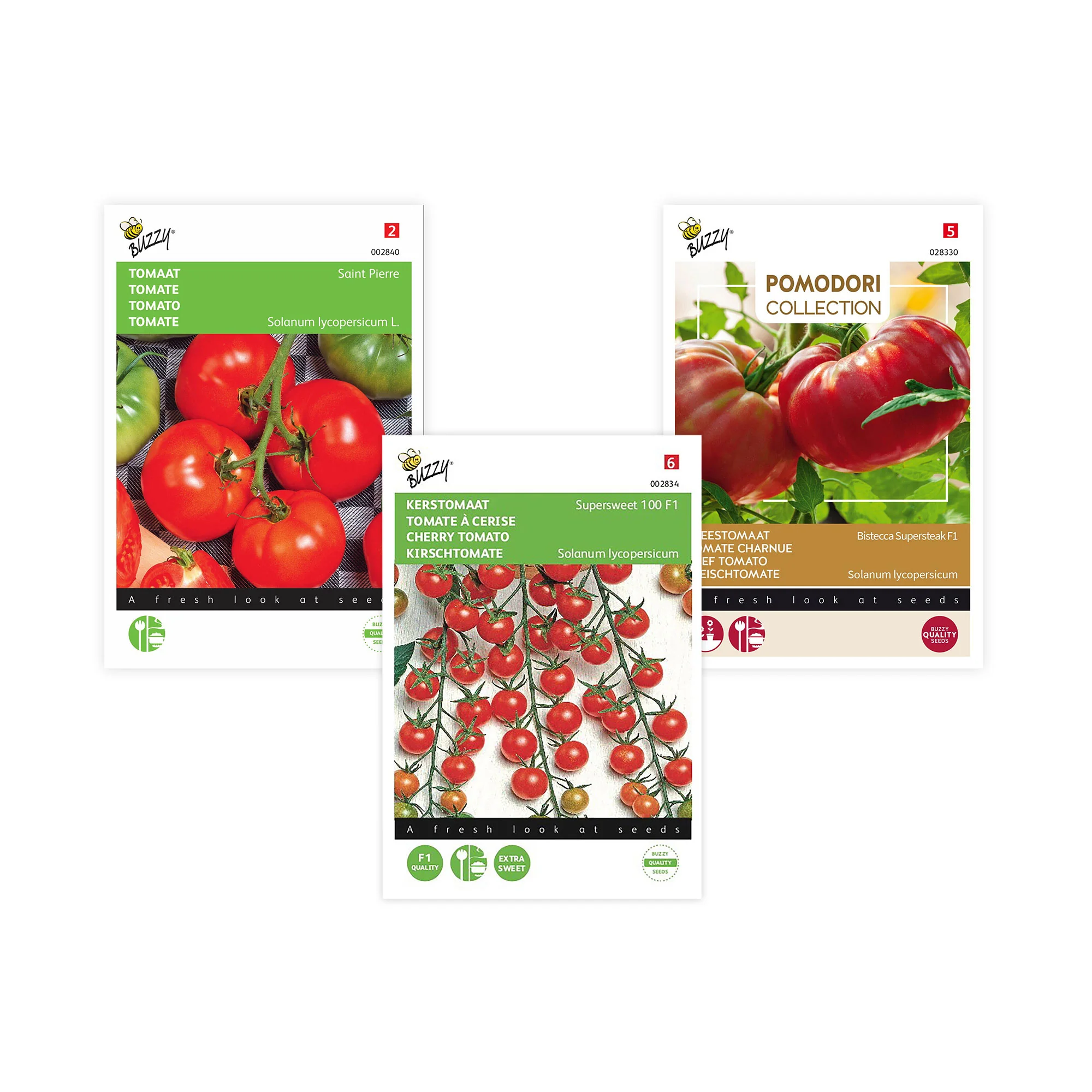 Pack de tomates 'Tomates Tentantes' Solanum - Semences de légumes - Image 2