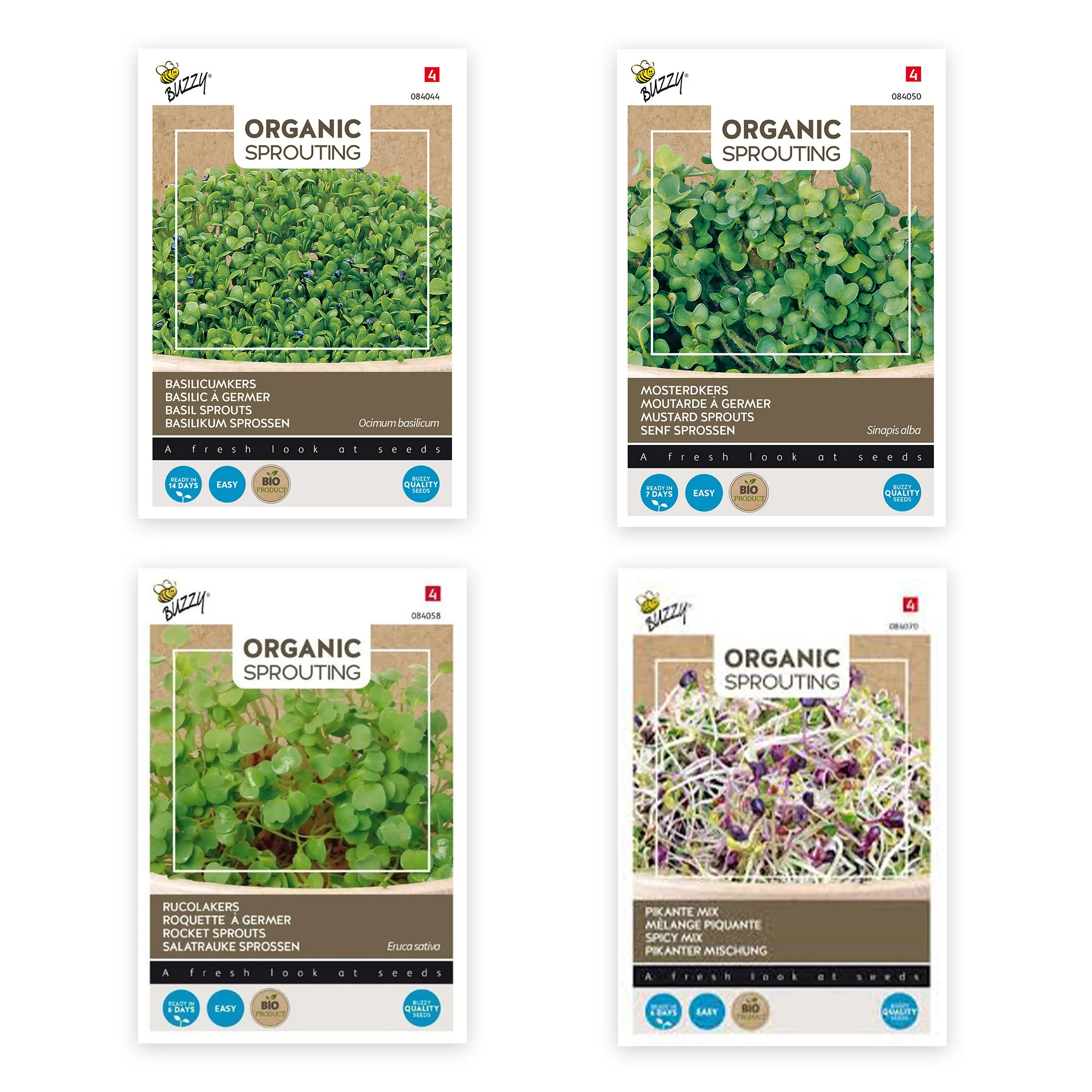 Paquet d'herbes aromatiques 'Semences tendance' - Biologique - Semences d’herbes - Image 2