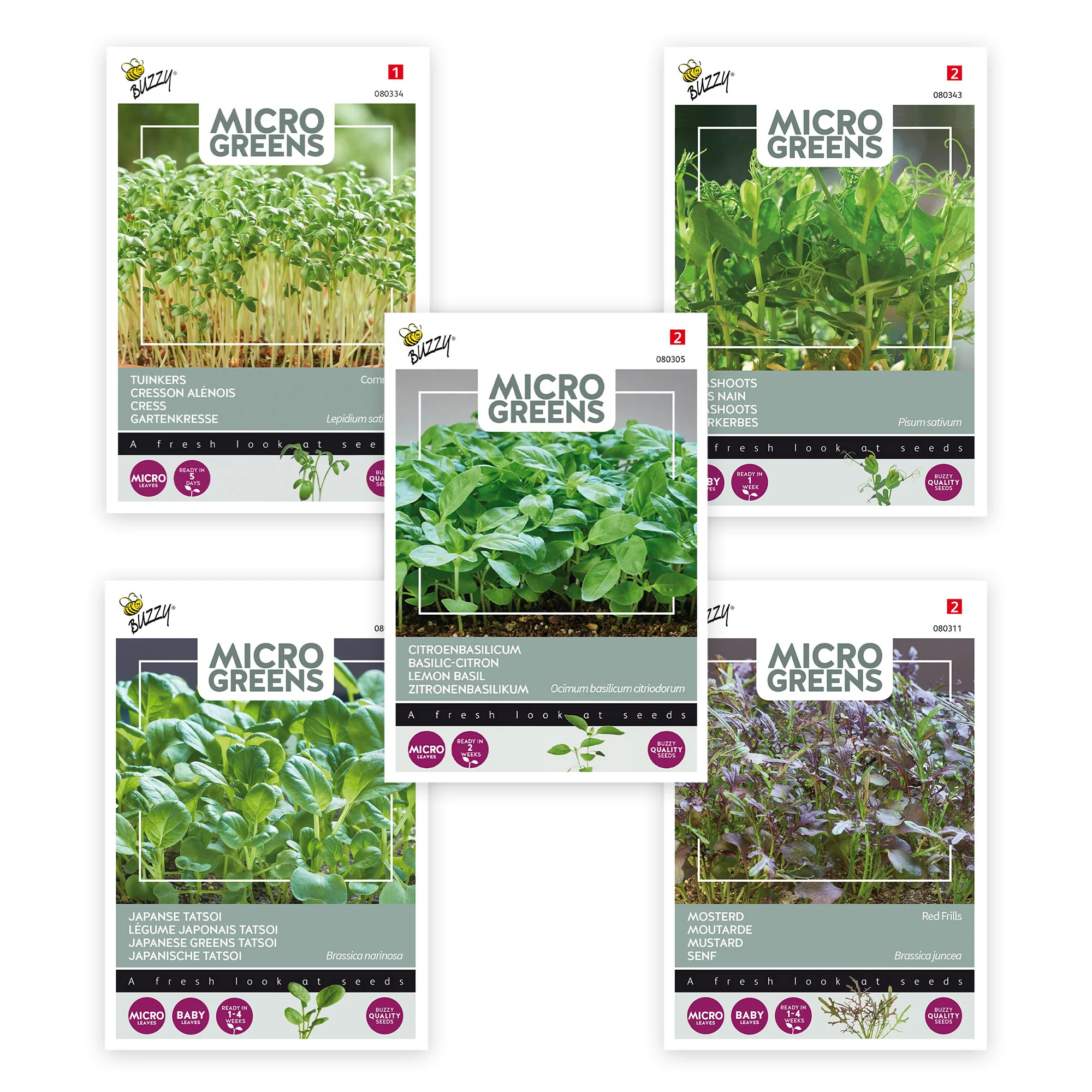 Paquet de légumes germés 'Pousses douces' 6 m² - Graines de légumes, graines d'herbes aromatiques