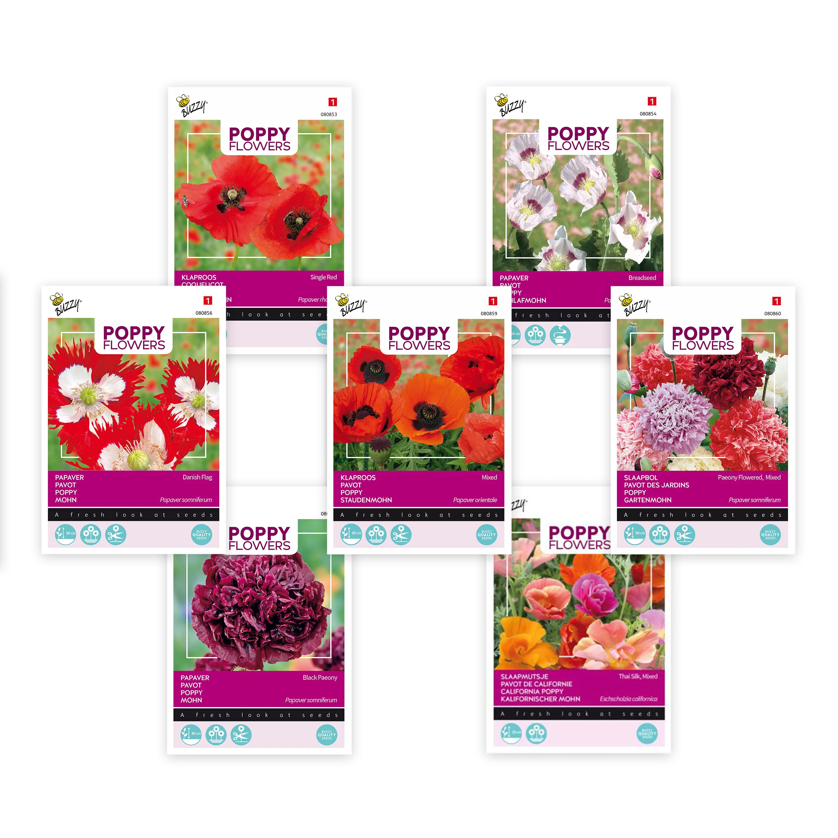 Paquet de pavots 'Pavots royaux' 16 m² - Semences de fleurs - Image 3