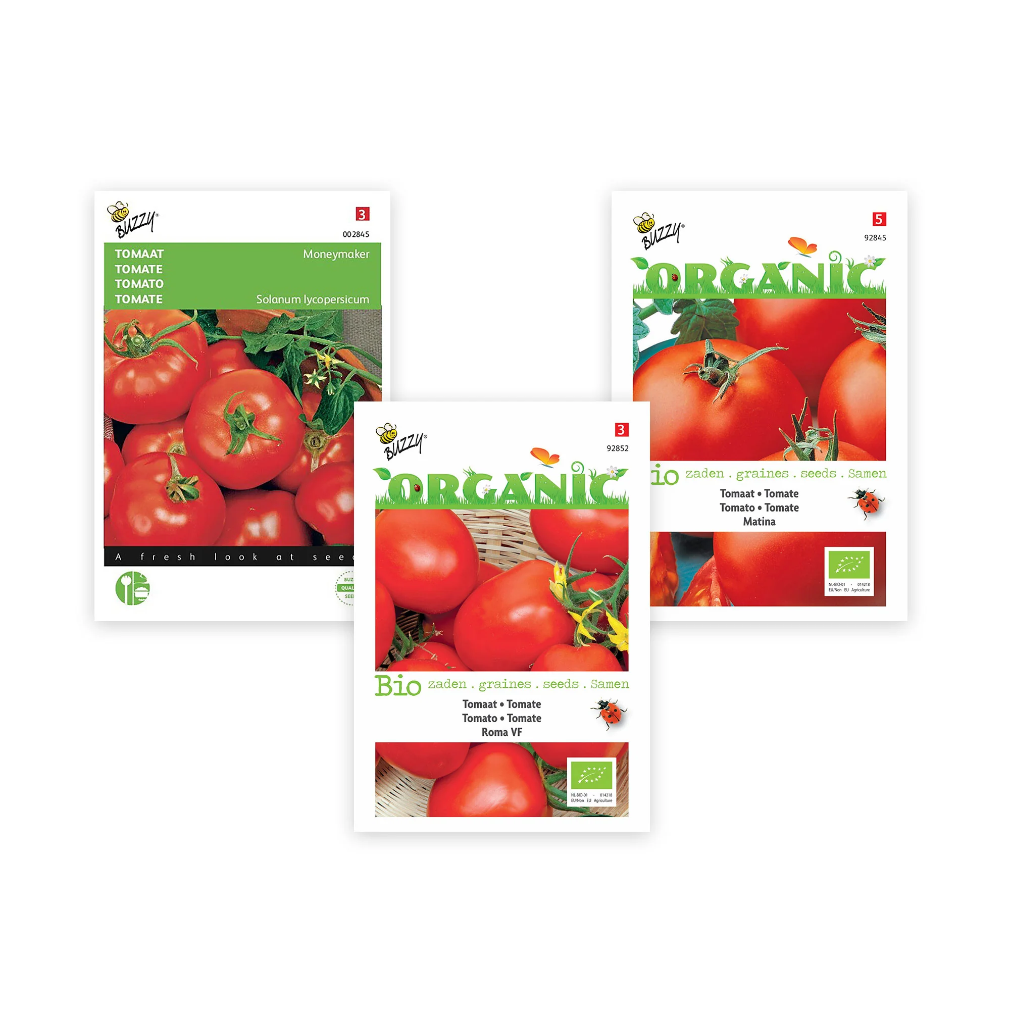Paquet de tomates Solanum 'Tomates écarlates' 30 m² - Semences de légumes - Image 3
