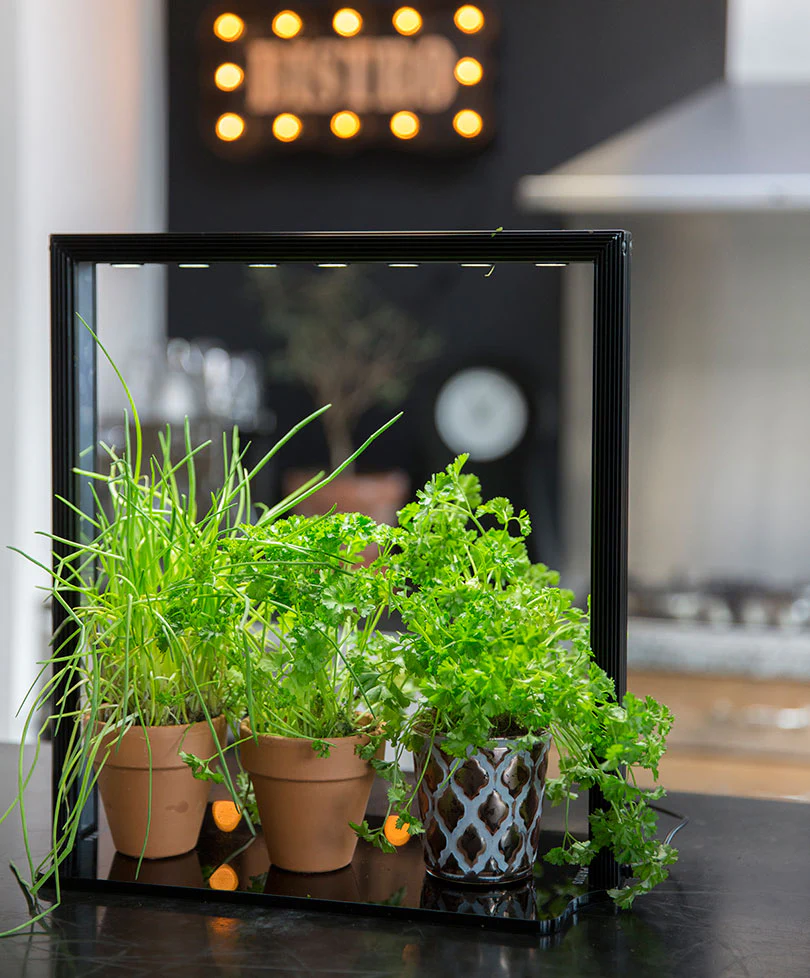 Parus - Mini jardin d'intérieur - Mini farm M10 36 cm - Image 2