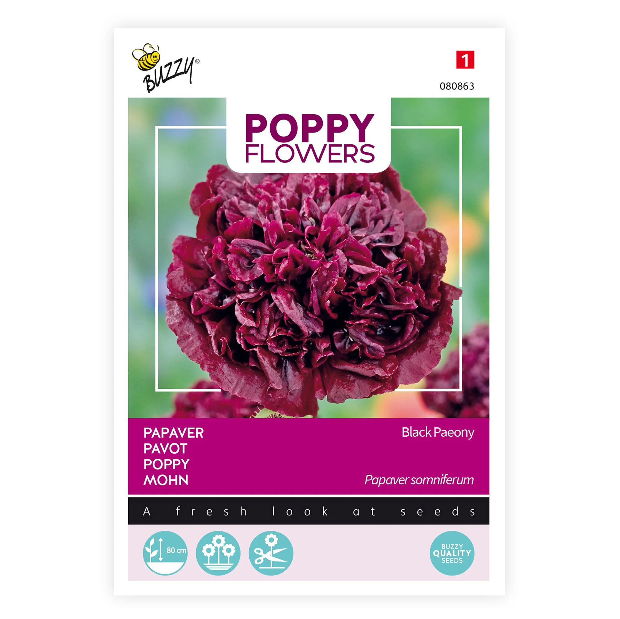 Pavot 'Black Paeony' violet 1 m² - Semences de fleurs - Image 2