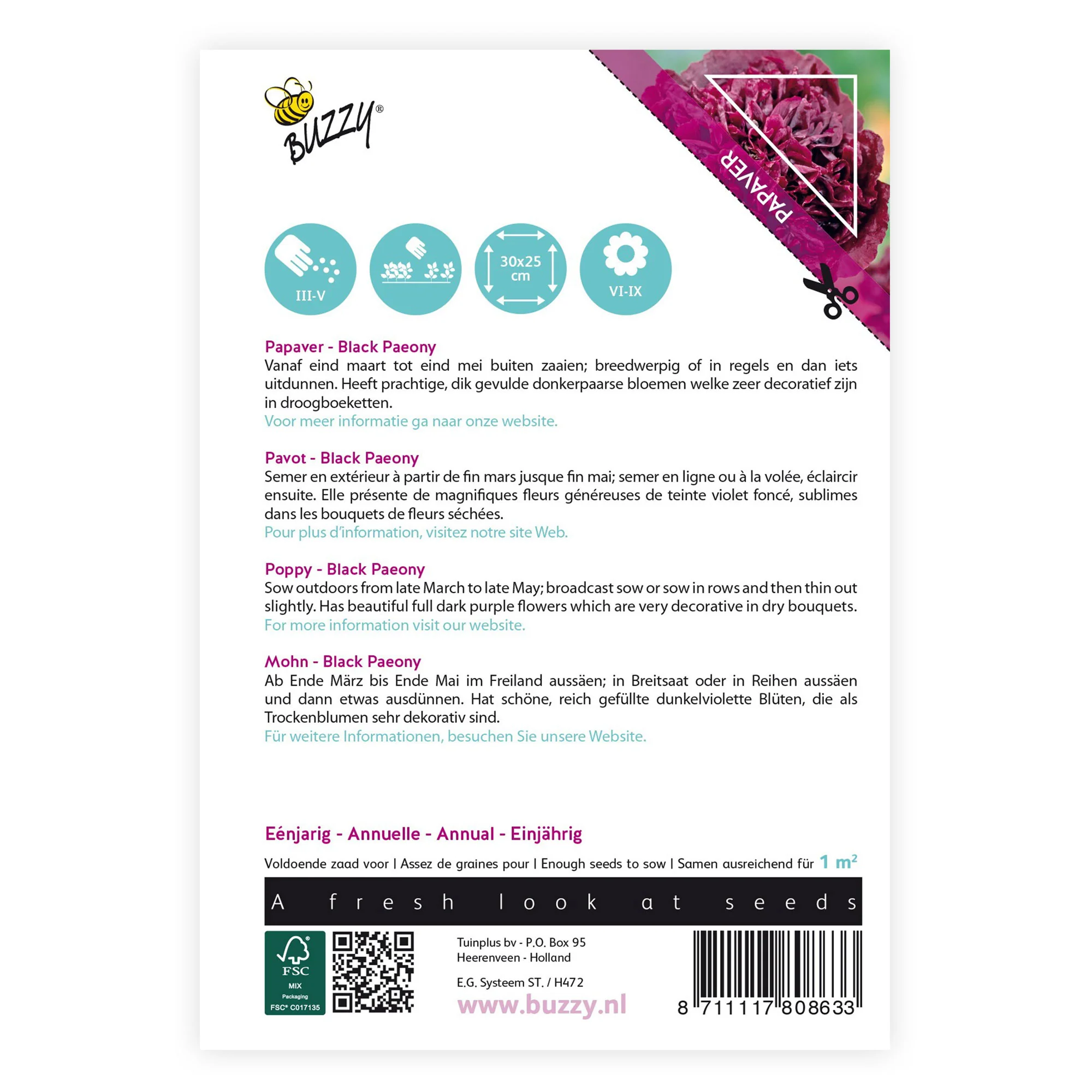 Pavot 'Black Paeony' violet 1 m² - Semences de fleurs - Image 3