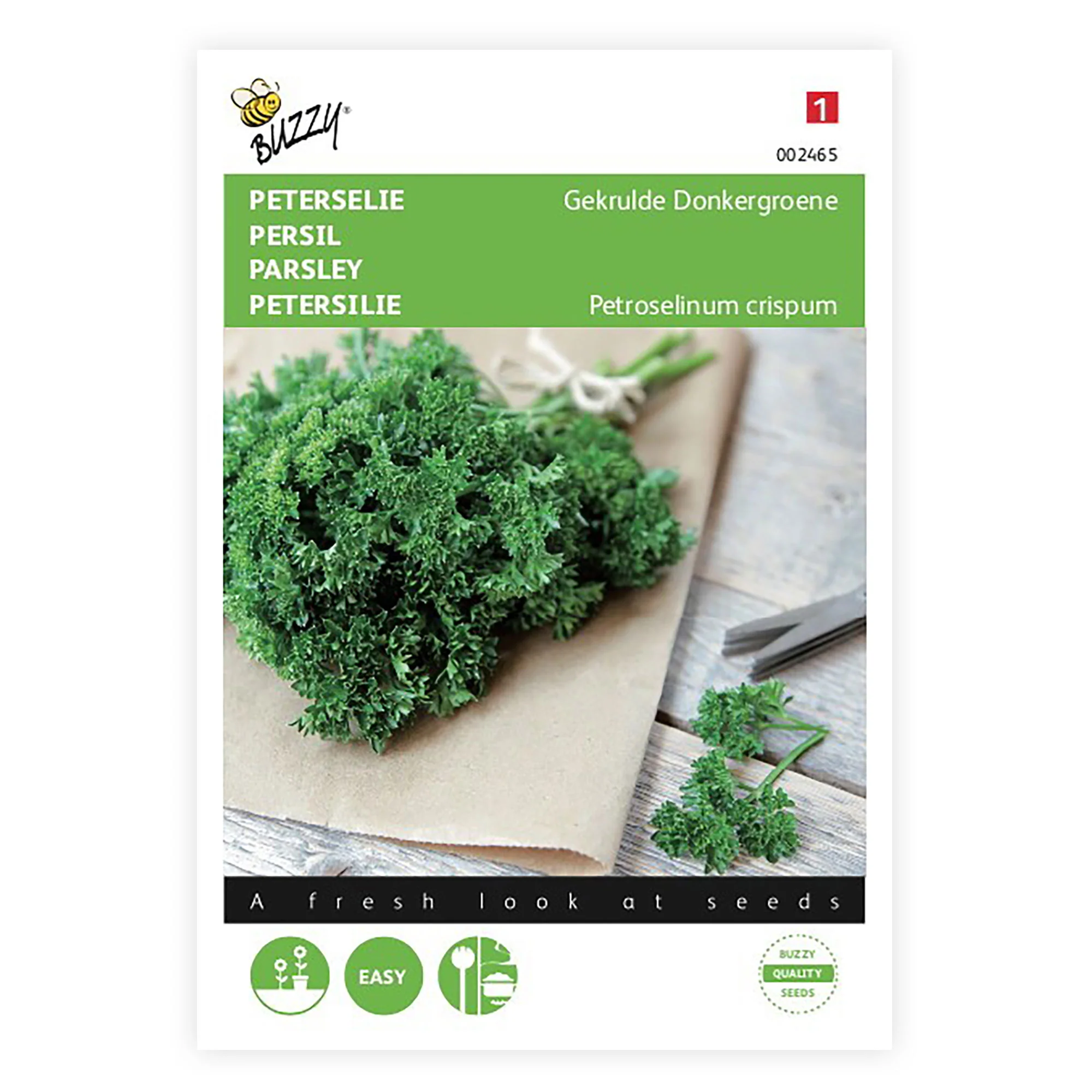 Persil frisé Petroselinum crispum 2,5 m² - Semences d’herbes - Image 3