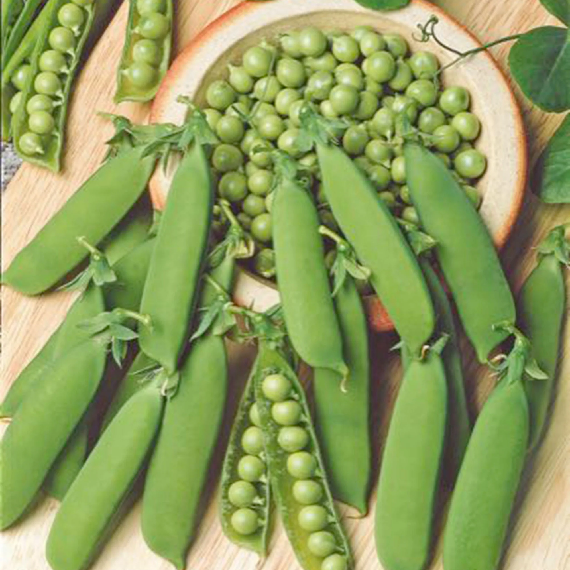 Petit pois Pisum 'Karina' - Biologique 2 m² - Semences de légumes
