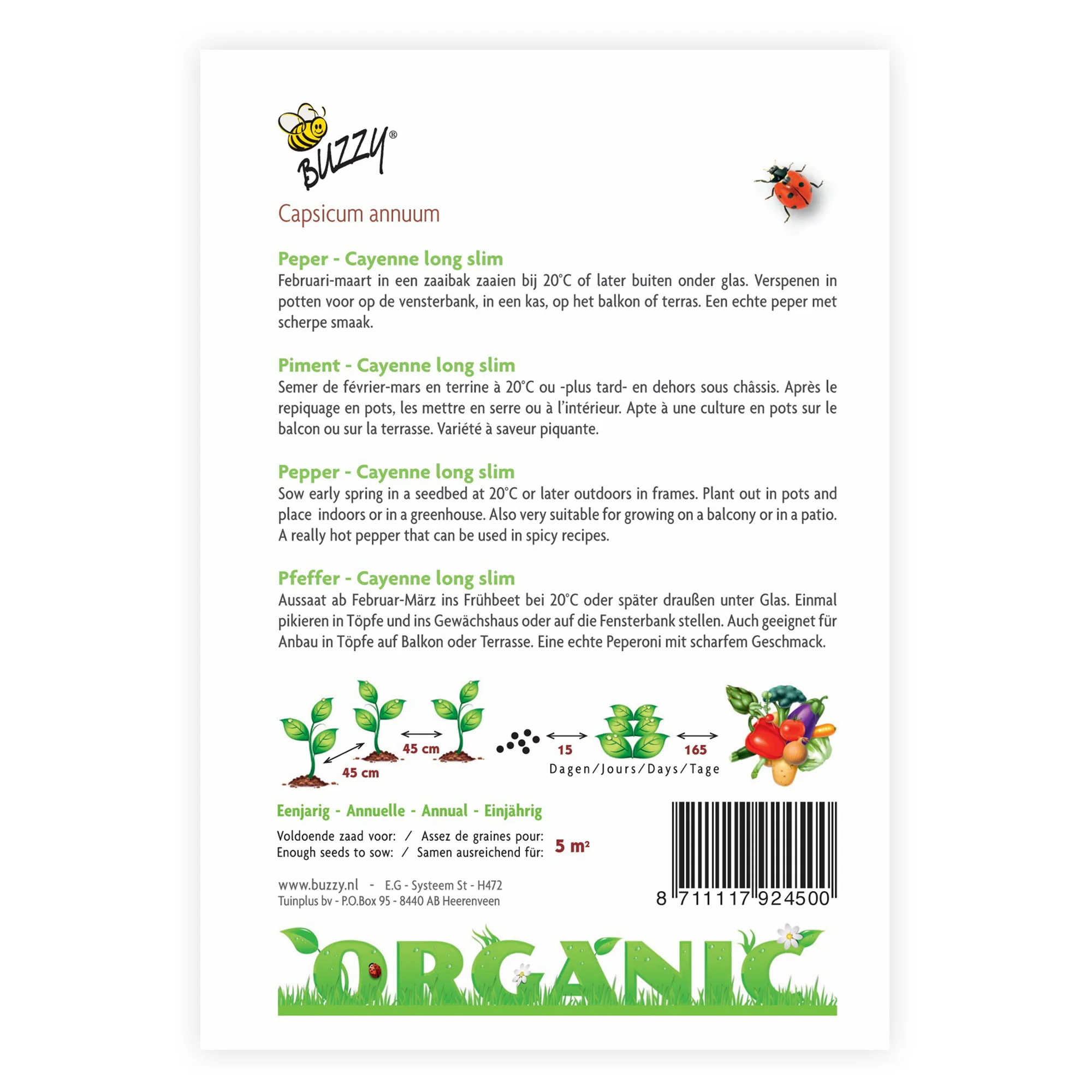 Piment Capsicum 'Long Slim' - Biologique 5 m² - Semences de légumes - Image 3