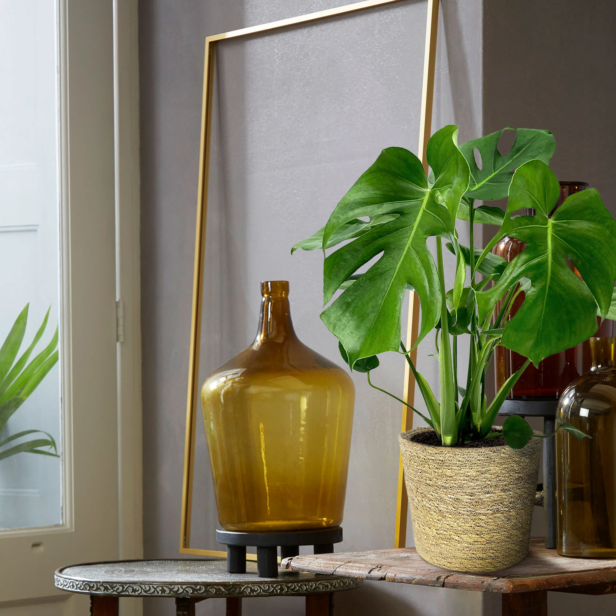 Plante à trous Monstera deliciosa avec panier en osier naturel