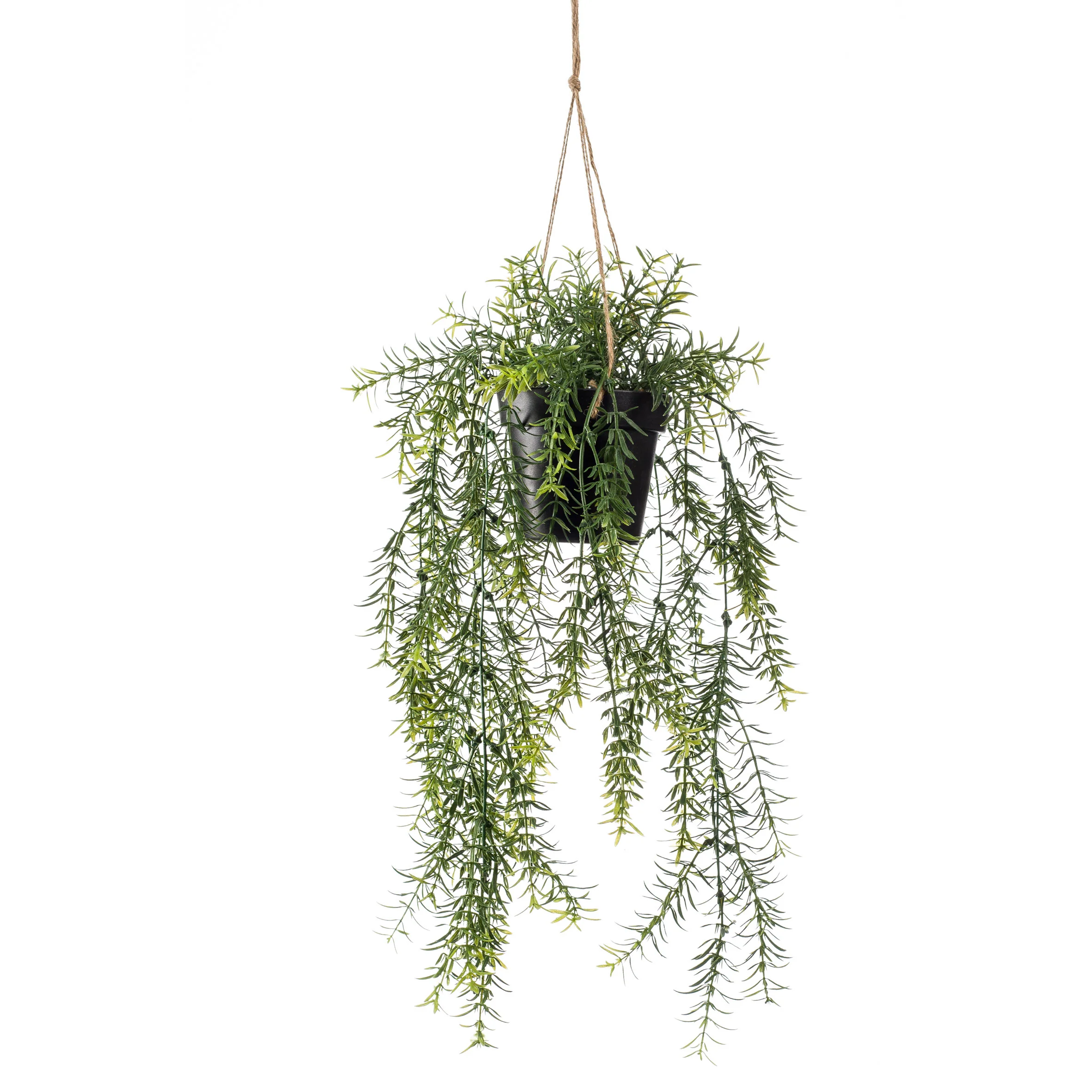 Plante artificielle Asparagus de Sprenger Asparagus avec pot suspendu noir