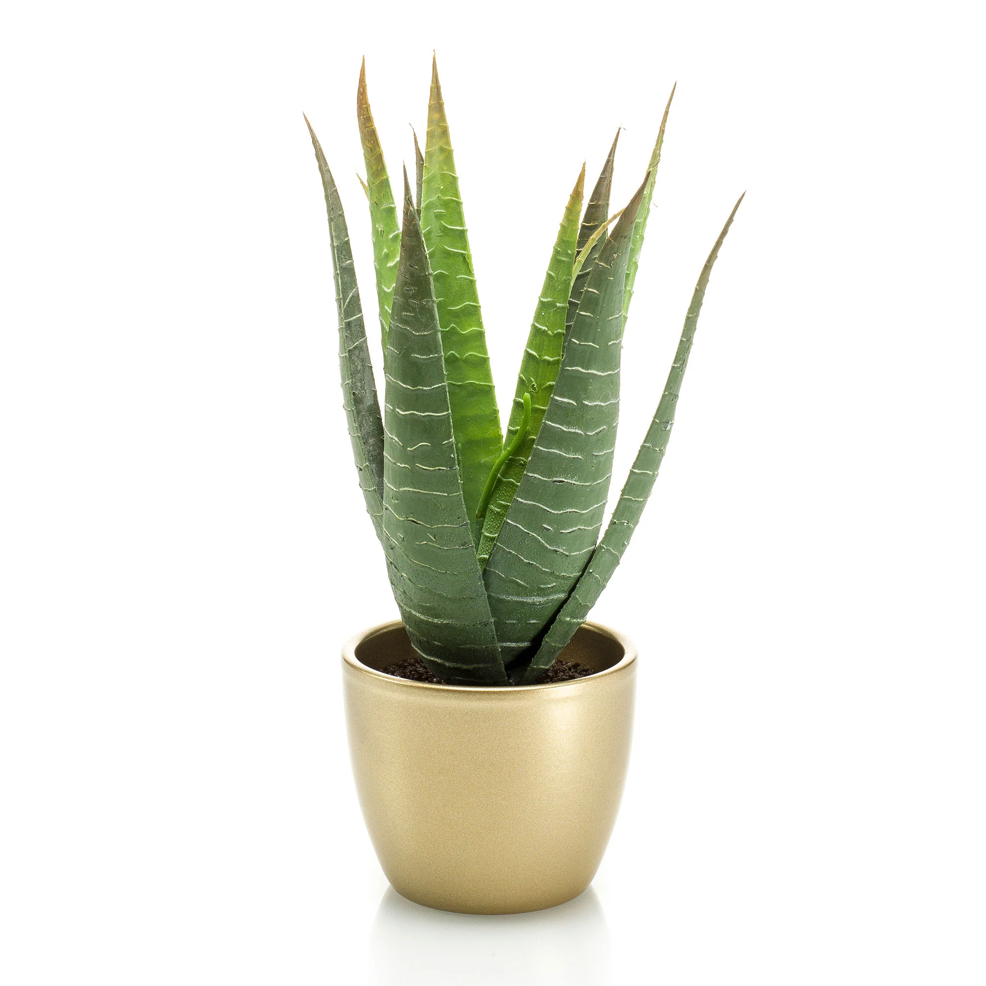 Plante artificielle Cactus corail Succulent vert avec cache-pot doré - Image 2