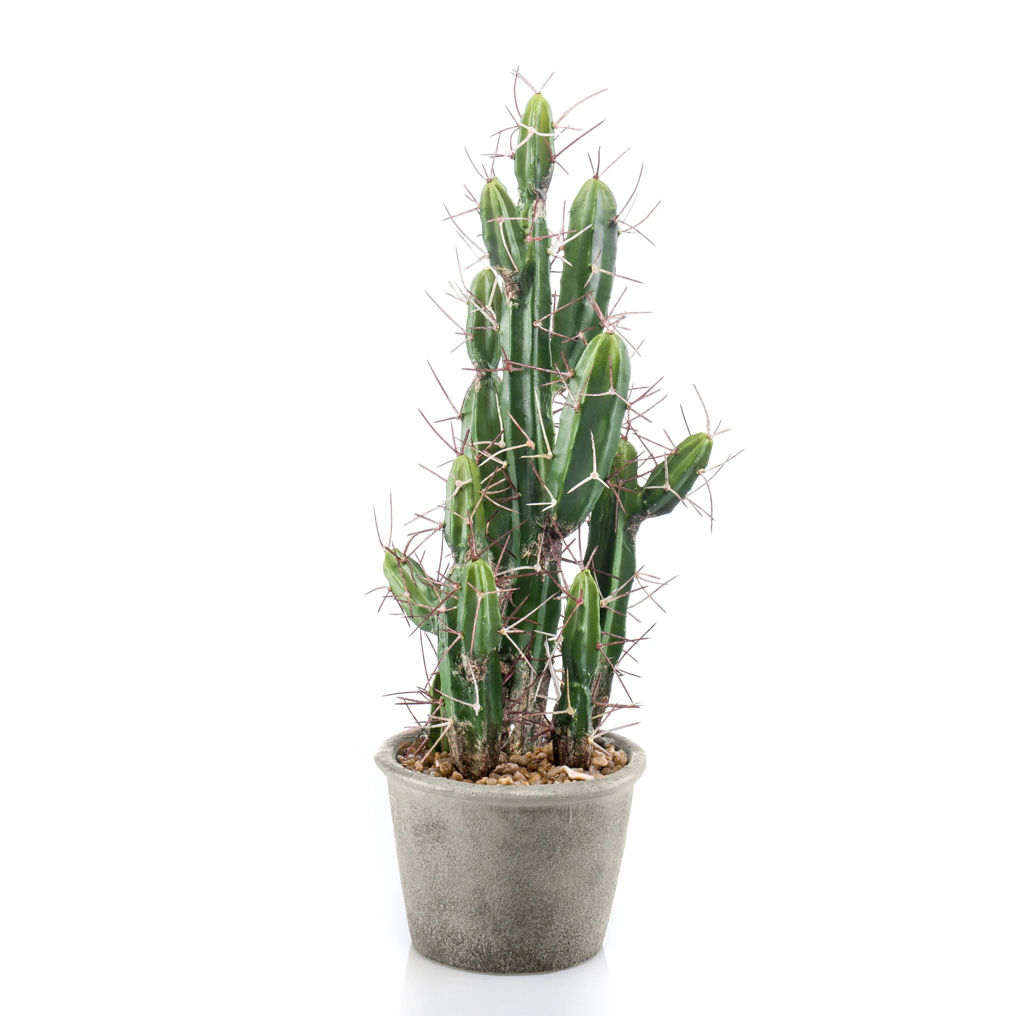 Plante artificielle Cactus Stetsonia avec cache-pot gris - Image 2