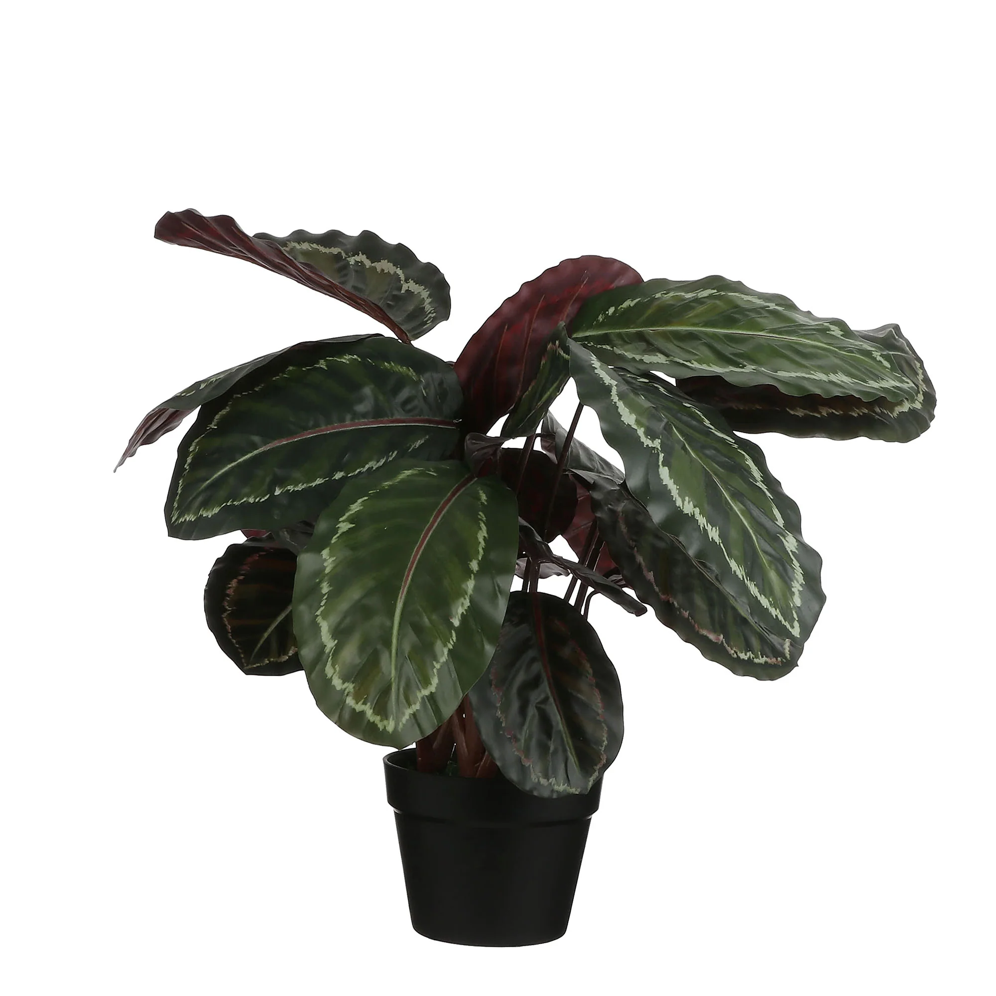 Plante artificielle Calathea Avec cache-pot rond en plastique - Image 3
