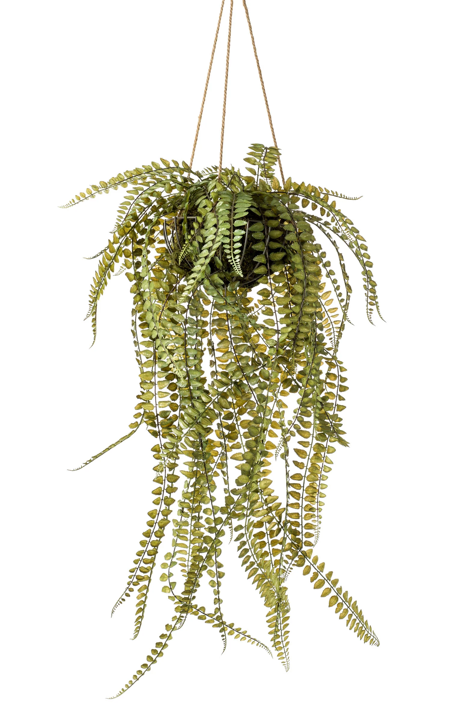 Plante artificielle Fougère Nephrolepis pot suspendu inclus
