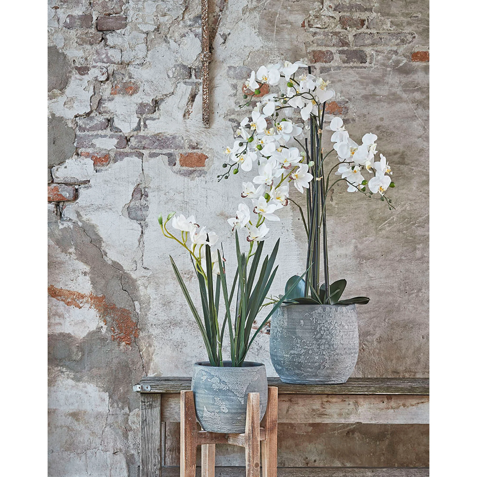 Plante artificielle Orchidée Phalaenopsis blanc Avec cache-pot rond en plastique - Image 2