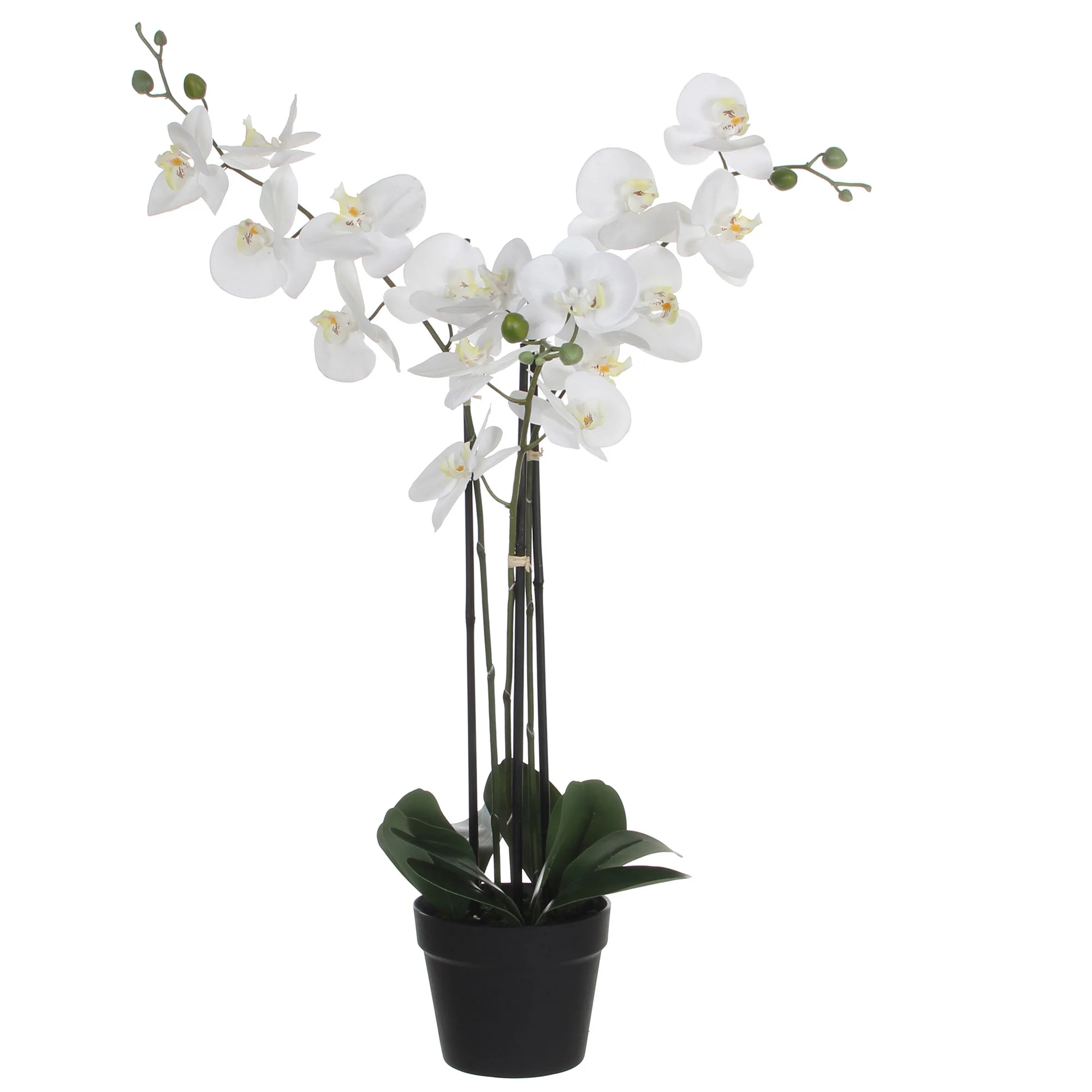 Plante artificielle Orchidée Phalaenopsis blanc Avec cache-pot rond en plastique - Image 3