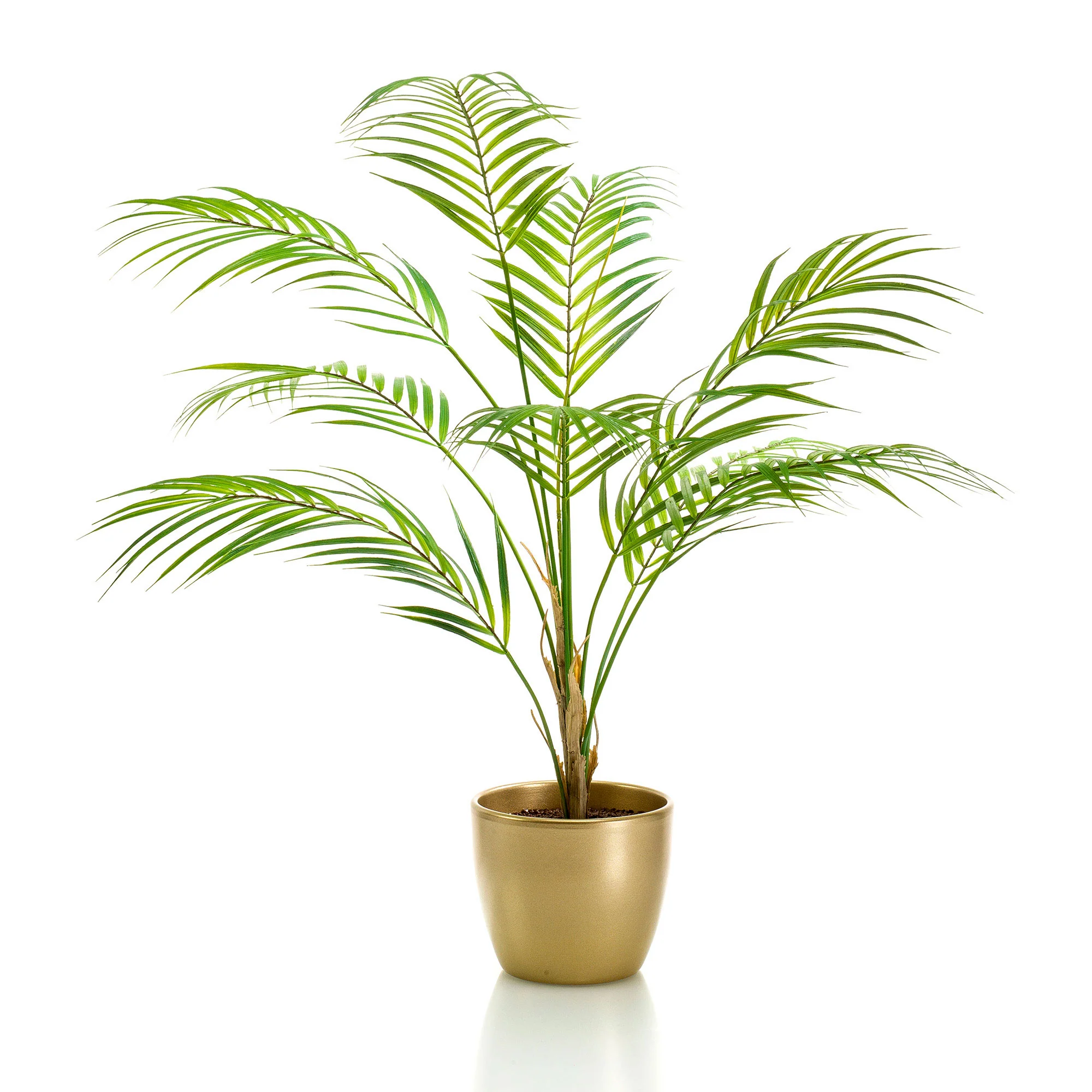 Plante artificielle Palmier des montagnes mexicain Chamaedorea vert avec cache-pot doré