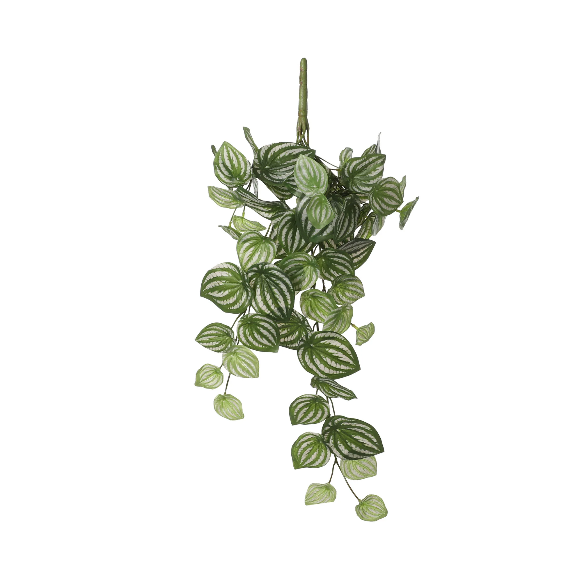 Plante artificielle Peperomia vert-blanc - Image 2
