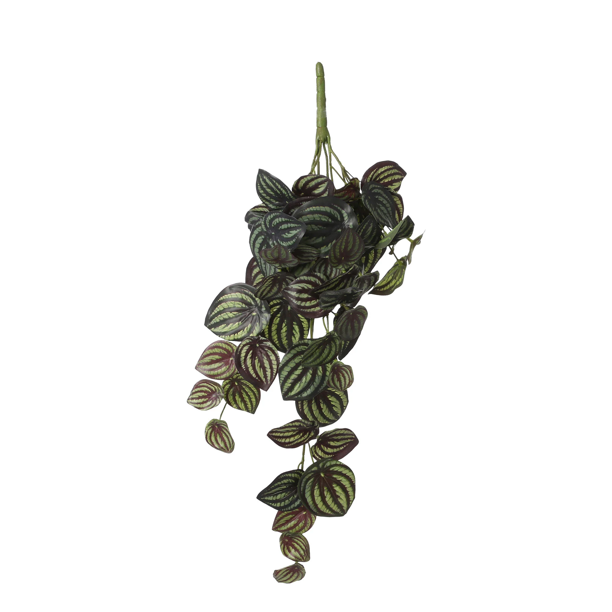Plante artificielle Peperomia vert-blanc - Image 3