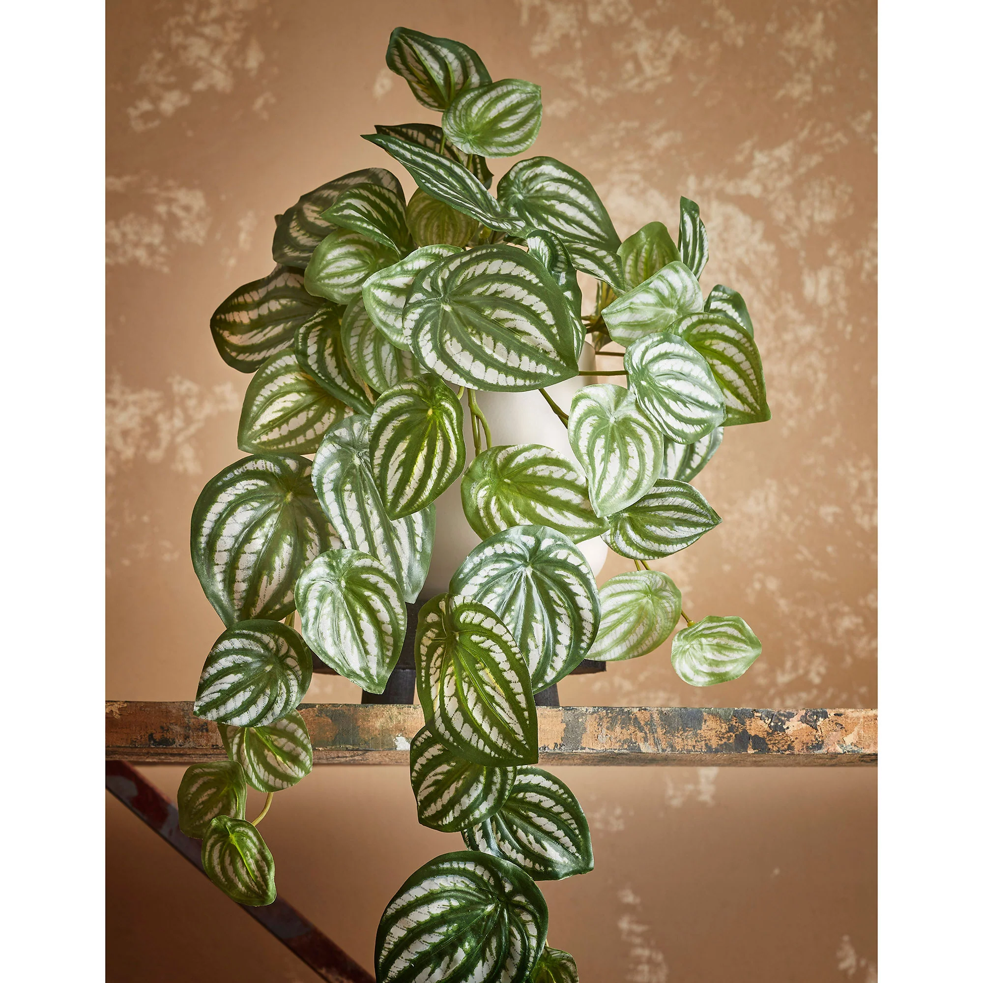 Plante artificielle Peperomia vert-blanc - Image 4