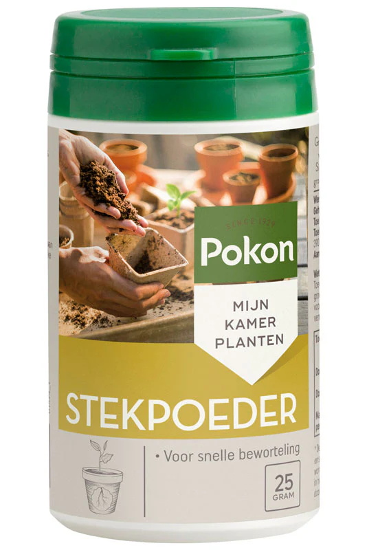 Poudre de bouturage 25 g - Pokon