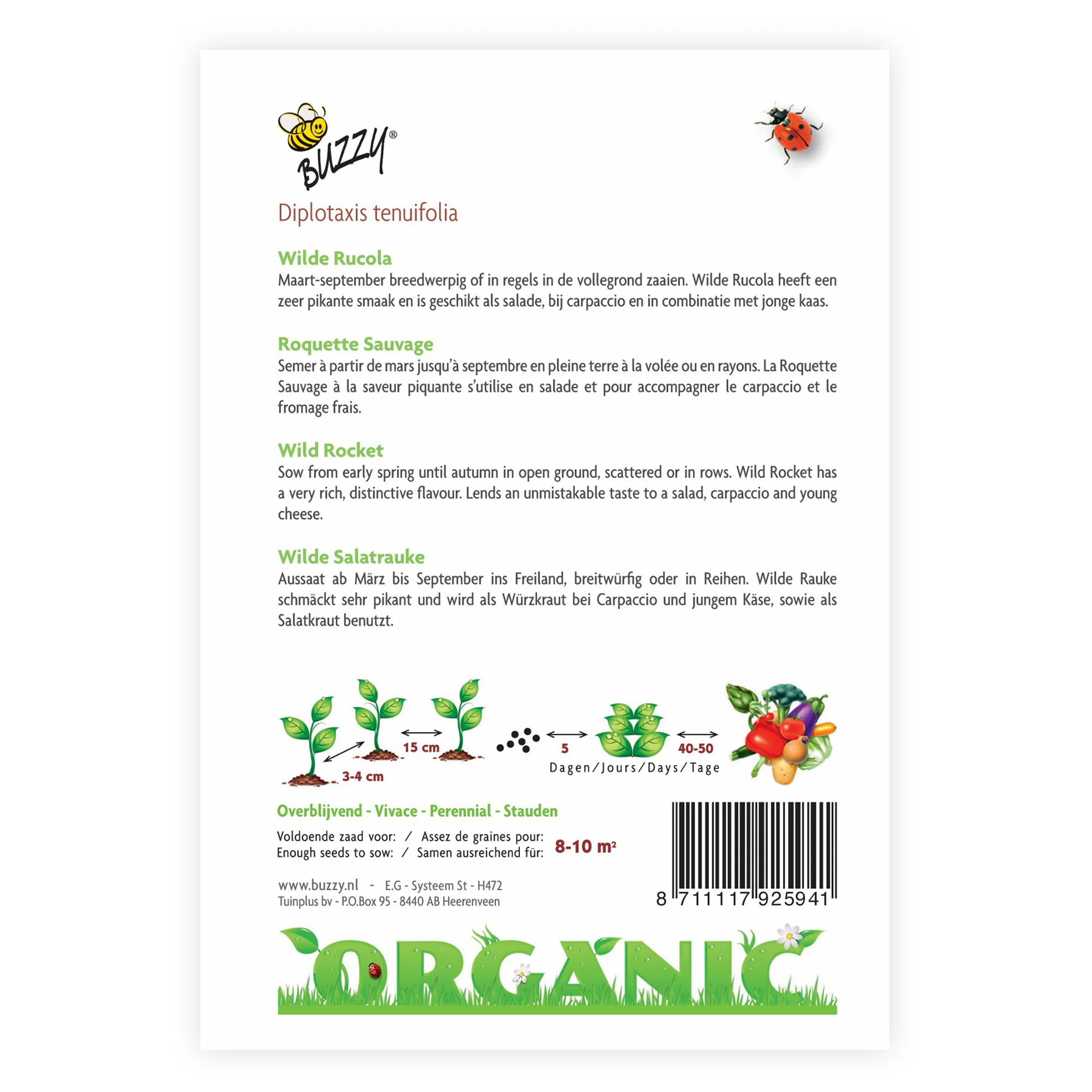Roquette sauvage Eruca sativa - Biologique 10 m² - Semences d’herbes - Image 4