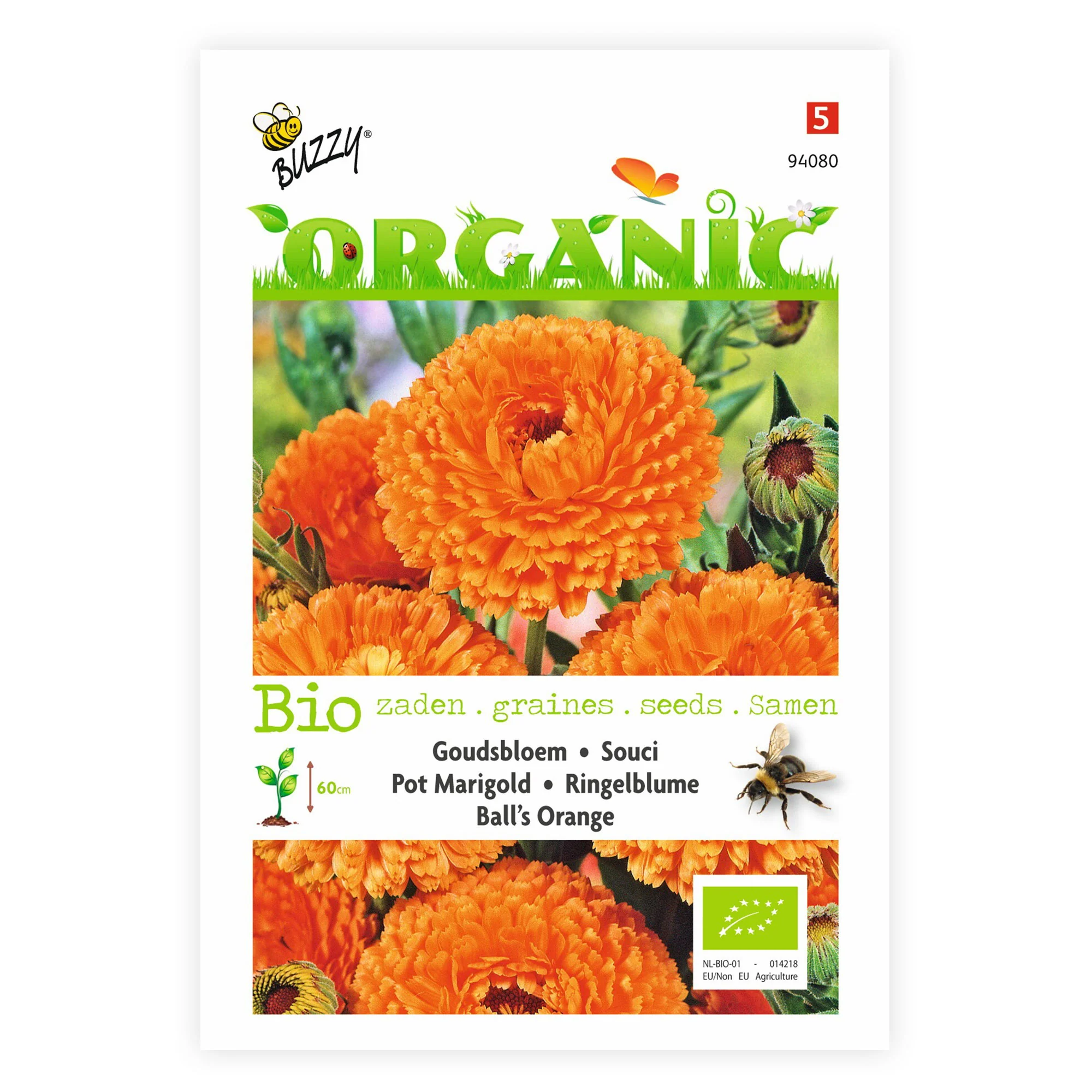 Souci Calendula 'Ball' - Biologique orangé 3 m² - Semences de fleurs - Image 4