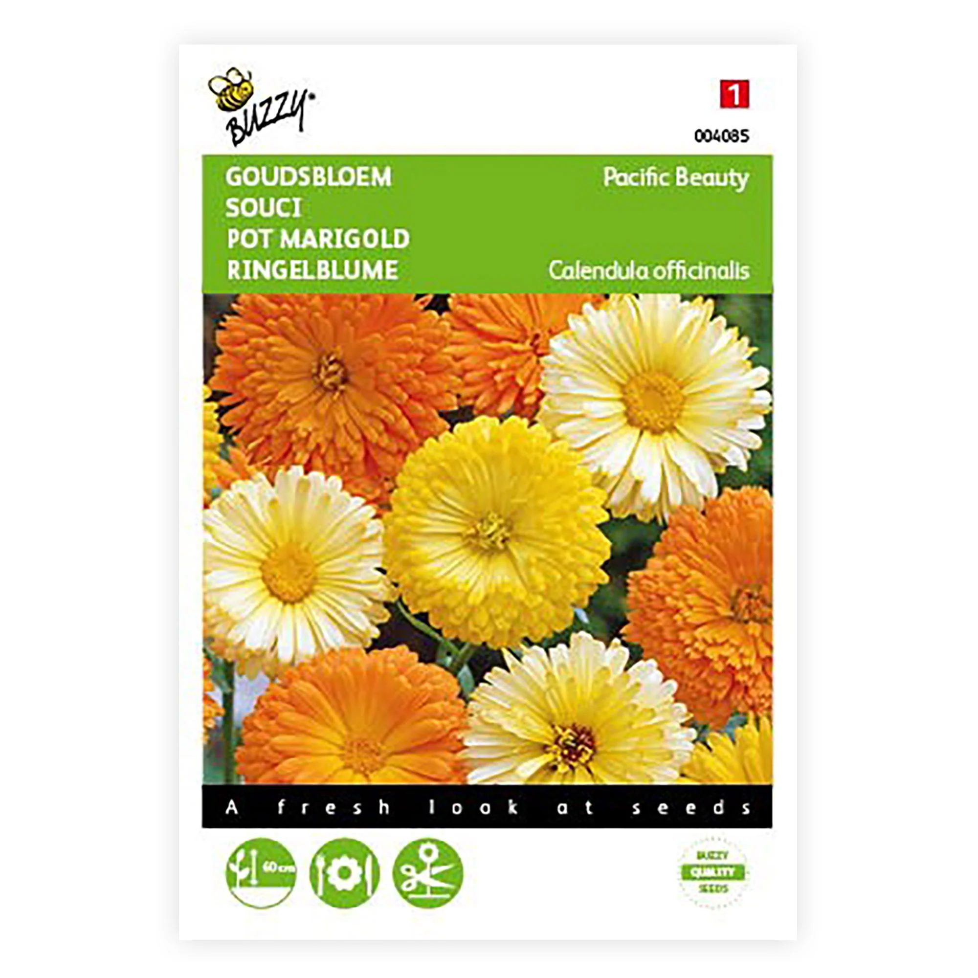 Souci Calendula 'Pacific Beauty' - Mélange jaune-orangé-blanc 2,5 m² - Semences de fleurs - Image 4