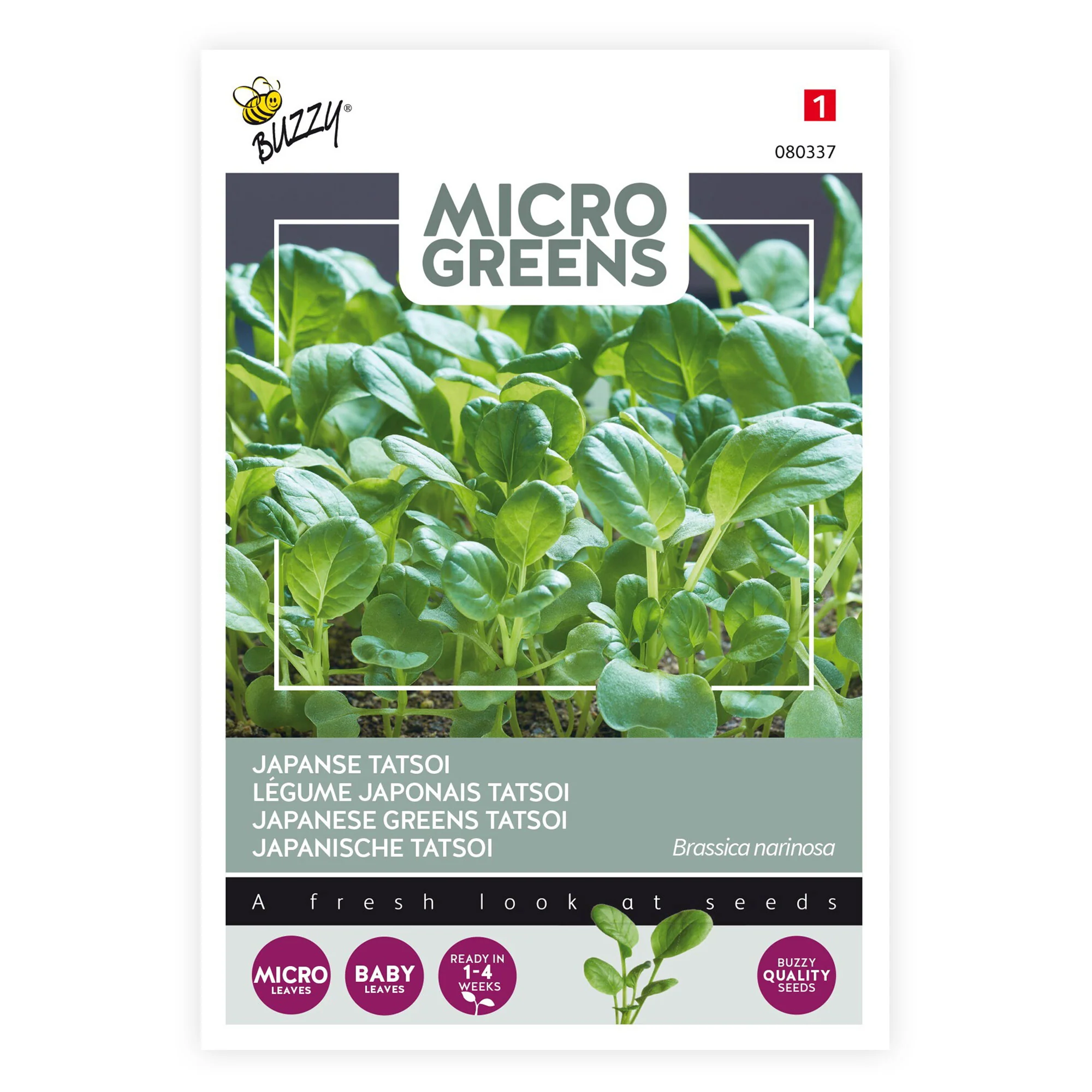 Tatsoi Brassica narinosa - Semences de légumes - Image 3