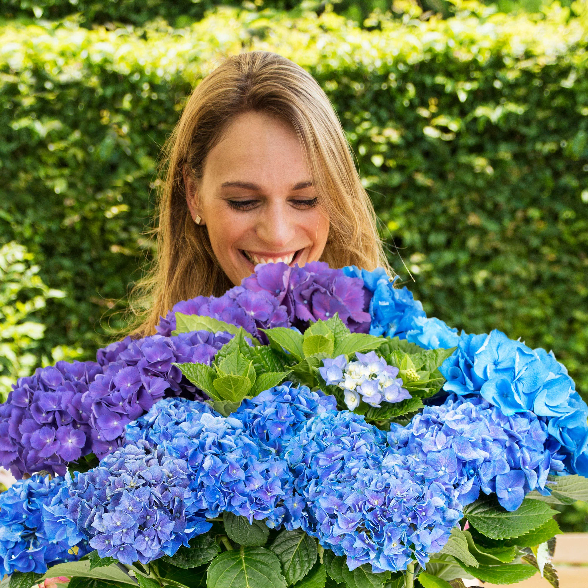'Three Sisters Blue' - Image 2