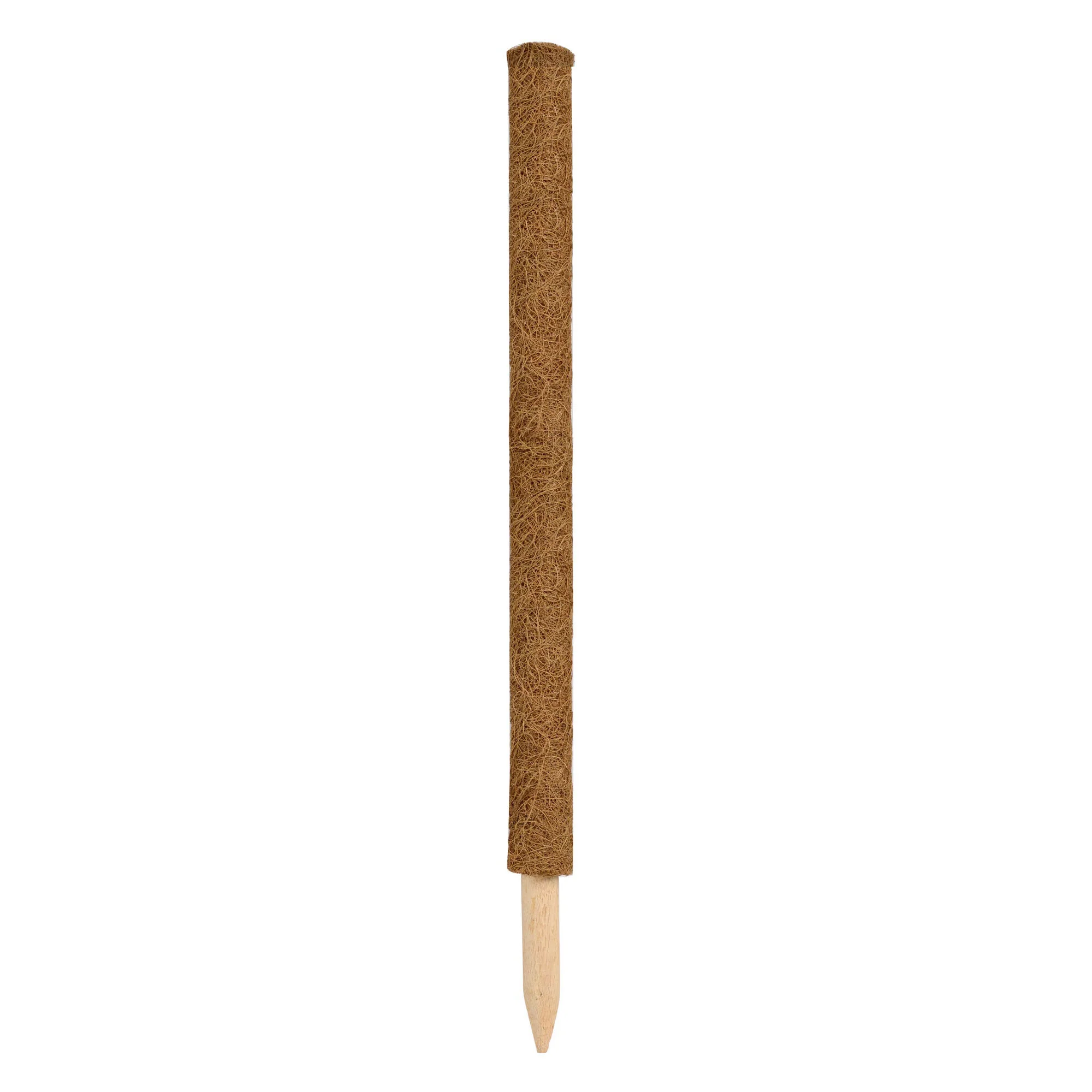 Tige pour plantes en coco - Image 3