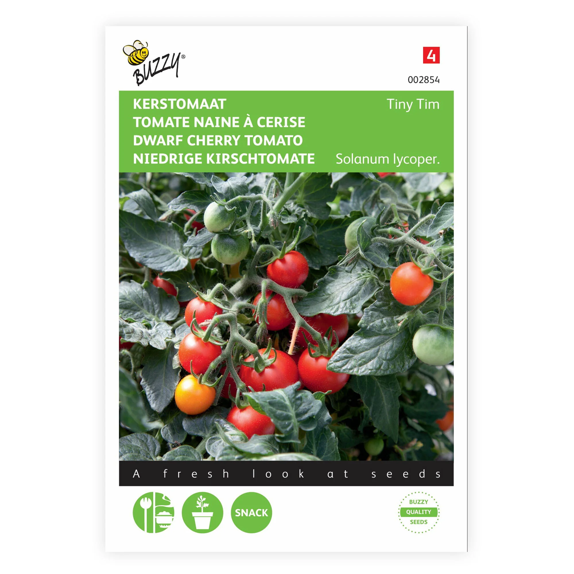 Tomate cerise Solanum 'Tiny Tim' 10 m² - Semences de légumes - Image 3
