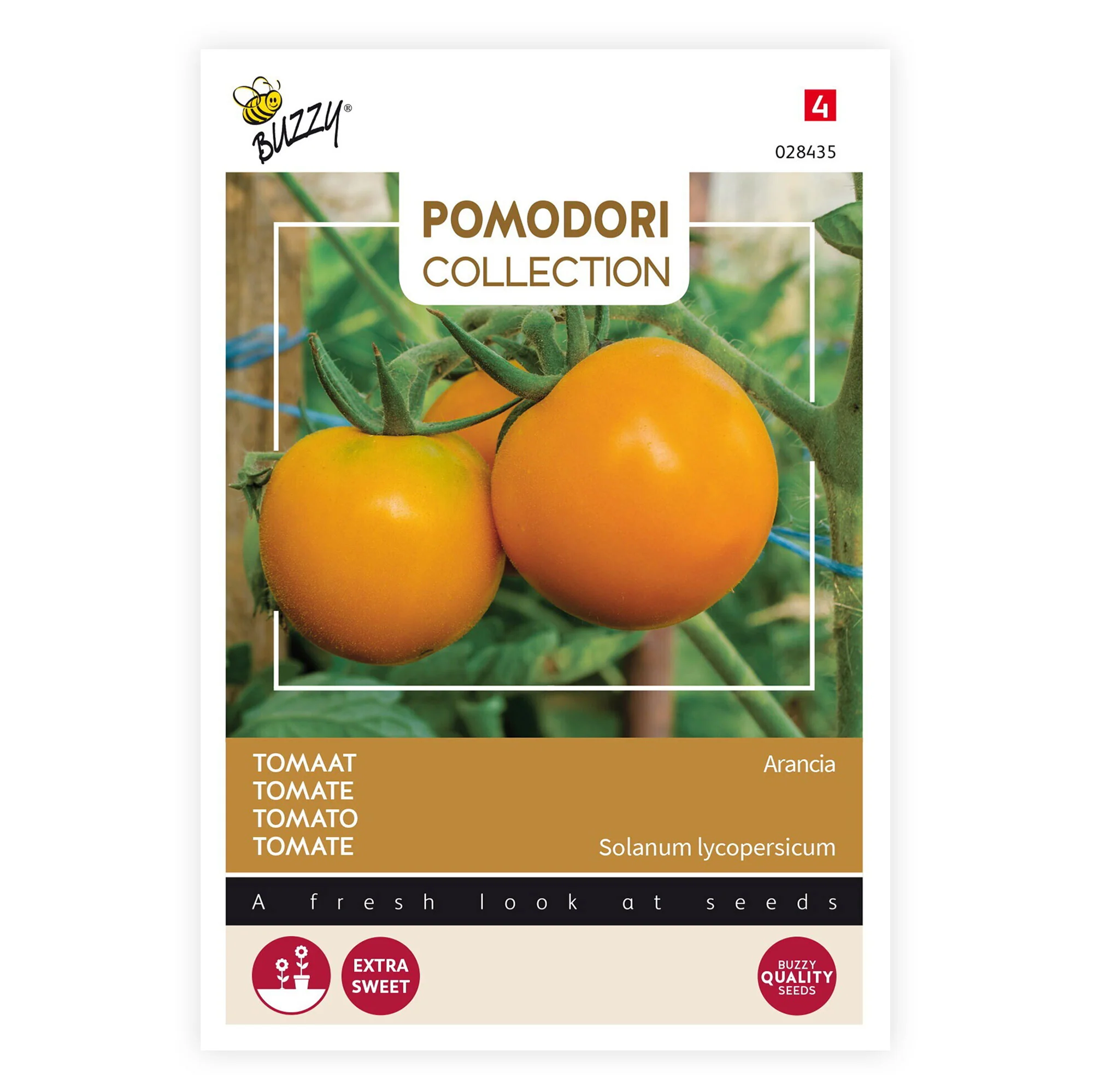 Tomate Solanum 'Arancia' jaune 2 m² - Semences de légumes - Image 3