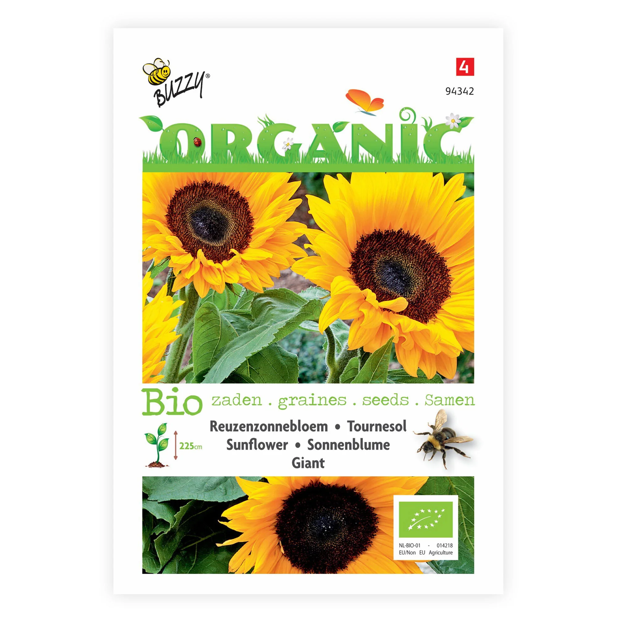 Tournesol Helianthus 'Giganteus' - Biologique jaune 6 m² - Semences de fleurs - Image 3