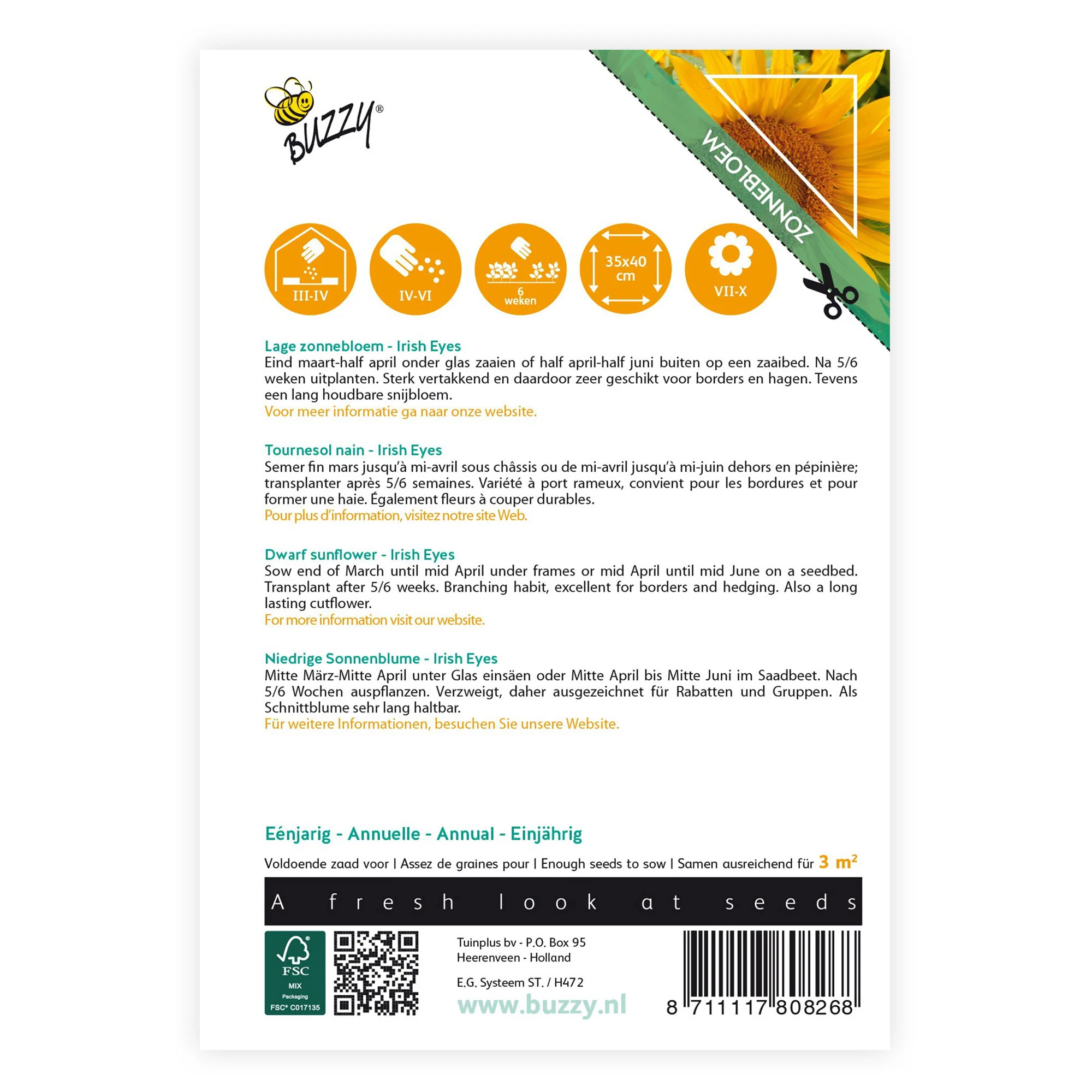 Tournesol Helianthus 'Irish Eyes' jaune 3 m² - Semences de fleurs - Image 3