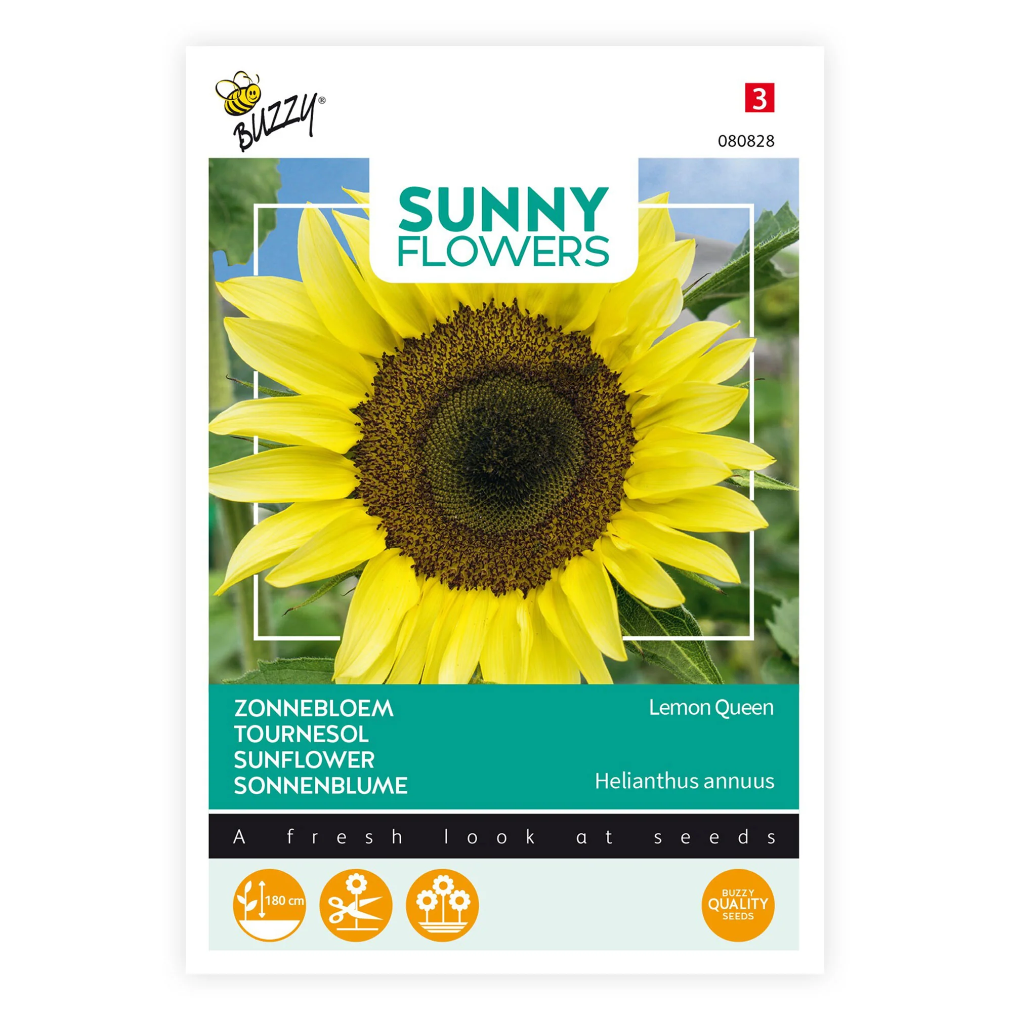 Tournesol Helianthus 'Lemon Queen' jaune 3 m² - Semences de fleurs - Image 2