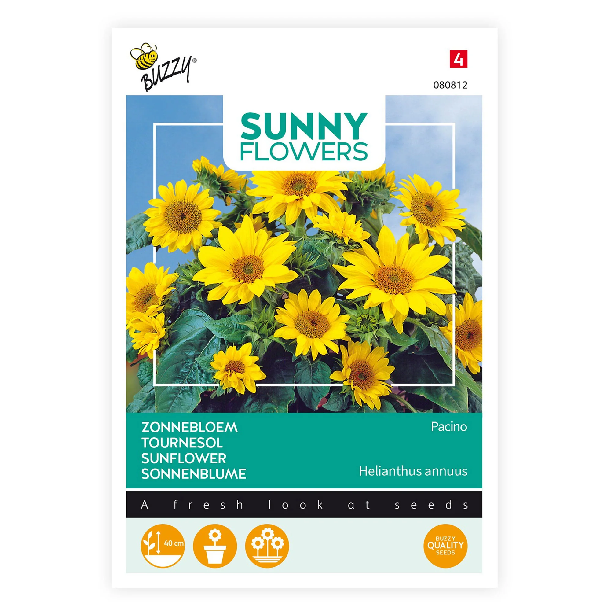 Tournesol Helianthus 'Pacino Gold' jaune 3 m² - Semences de fleurs - Image 2