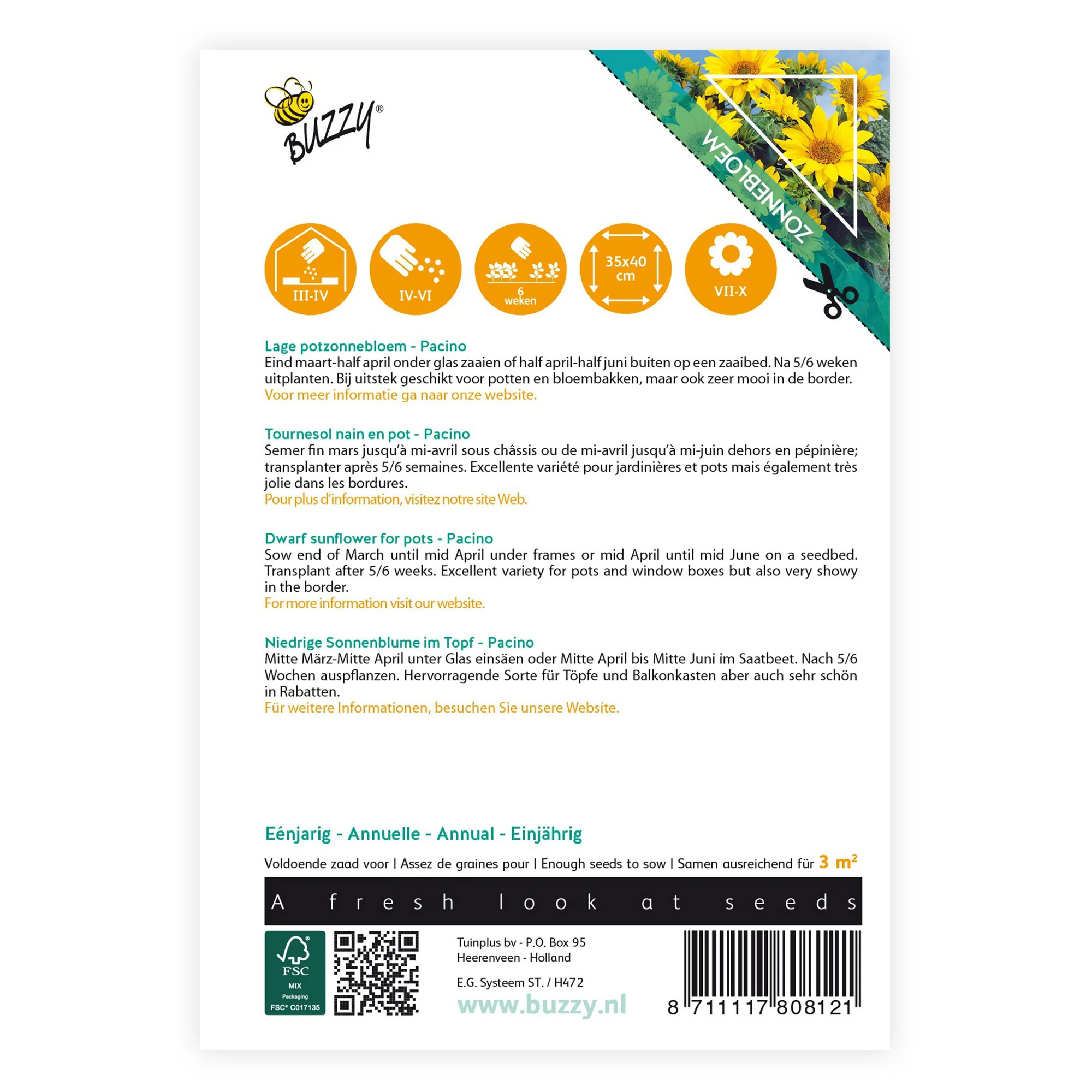 Tournesol Helianthus 'Pacino Gold' jaune 3 m² - Semences de fleurs - Image 3
