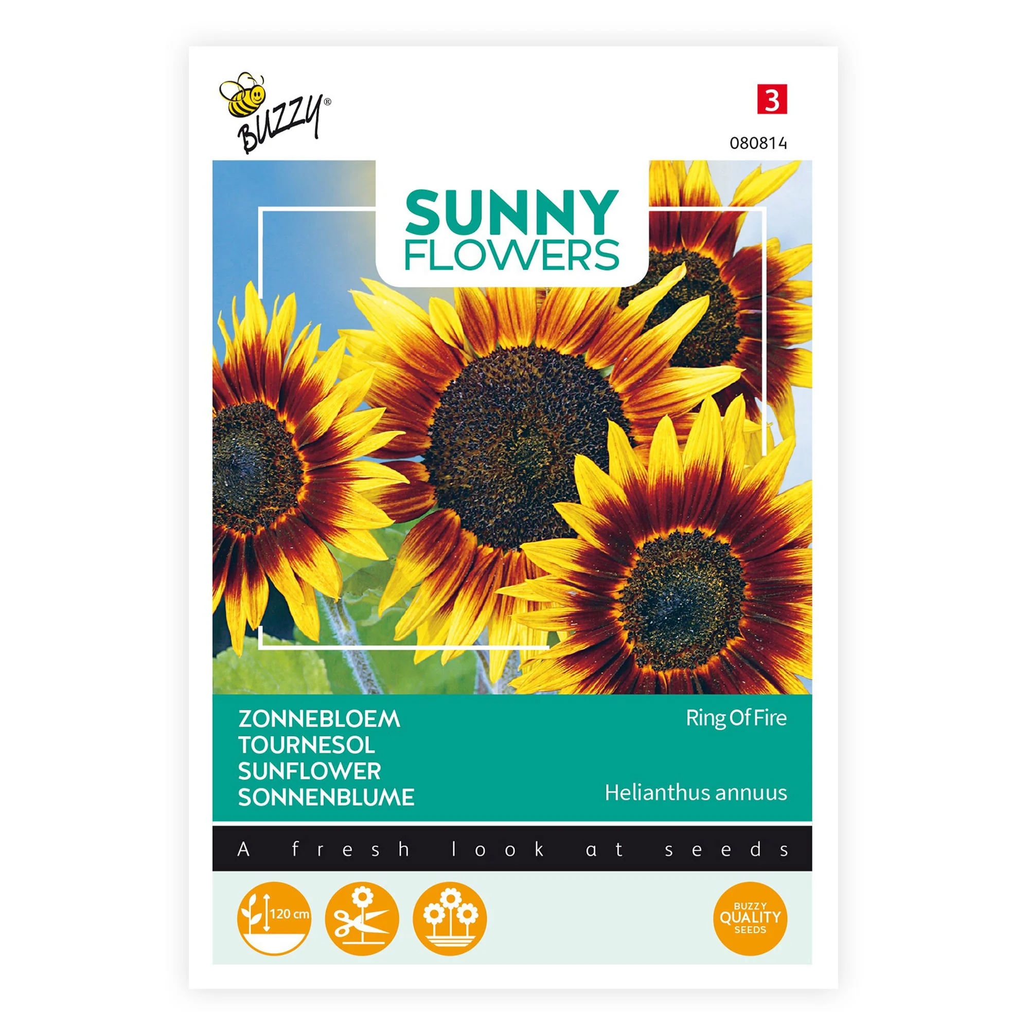 Tournesol Helianthus 'Ring of Fire' rouge 3 m² - Semences de fleurs - Image 3
