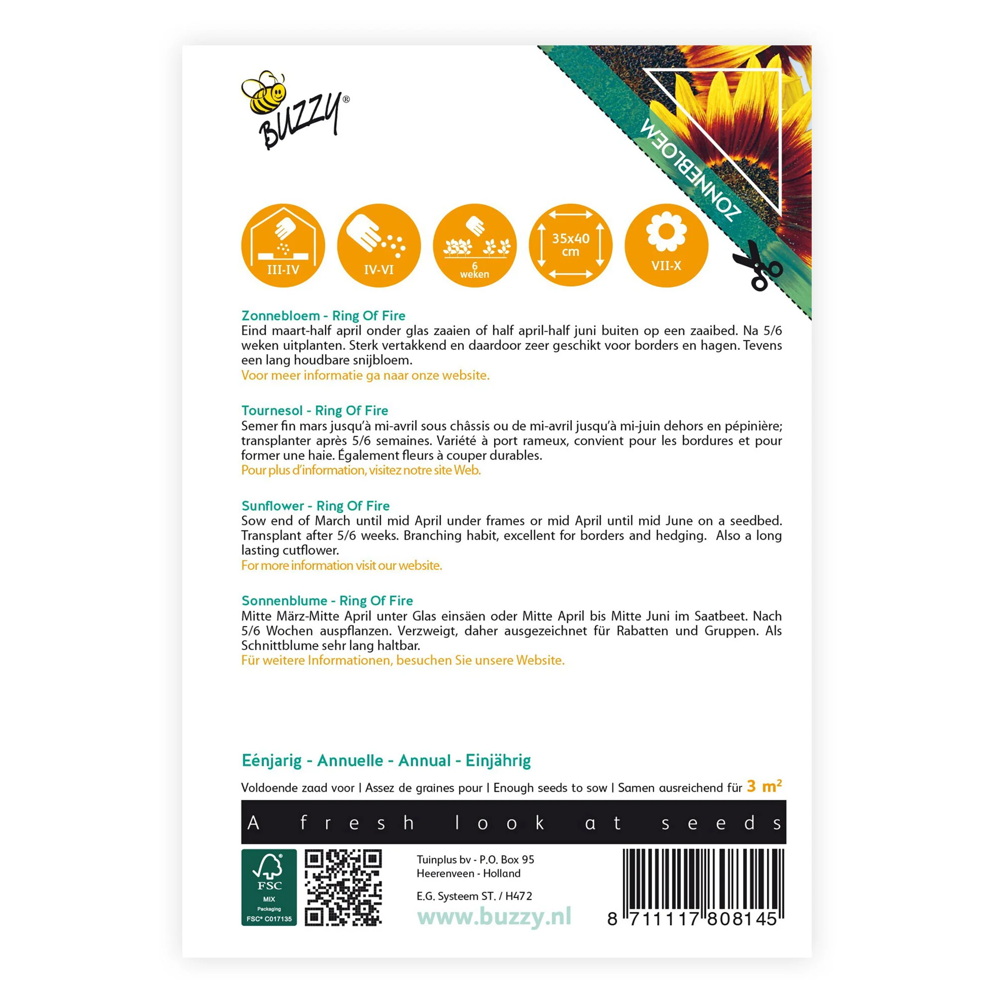 Tournesol Helianthus 'Ring of Fire' rouge 3 m² - Semences de fleurs - Image 4