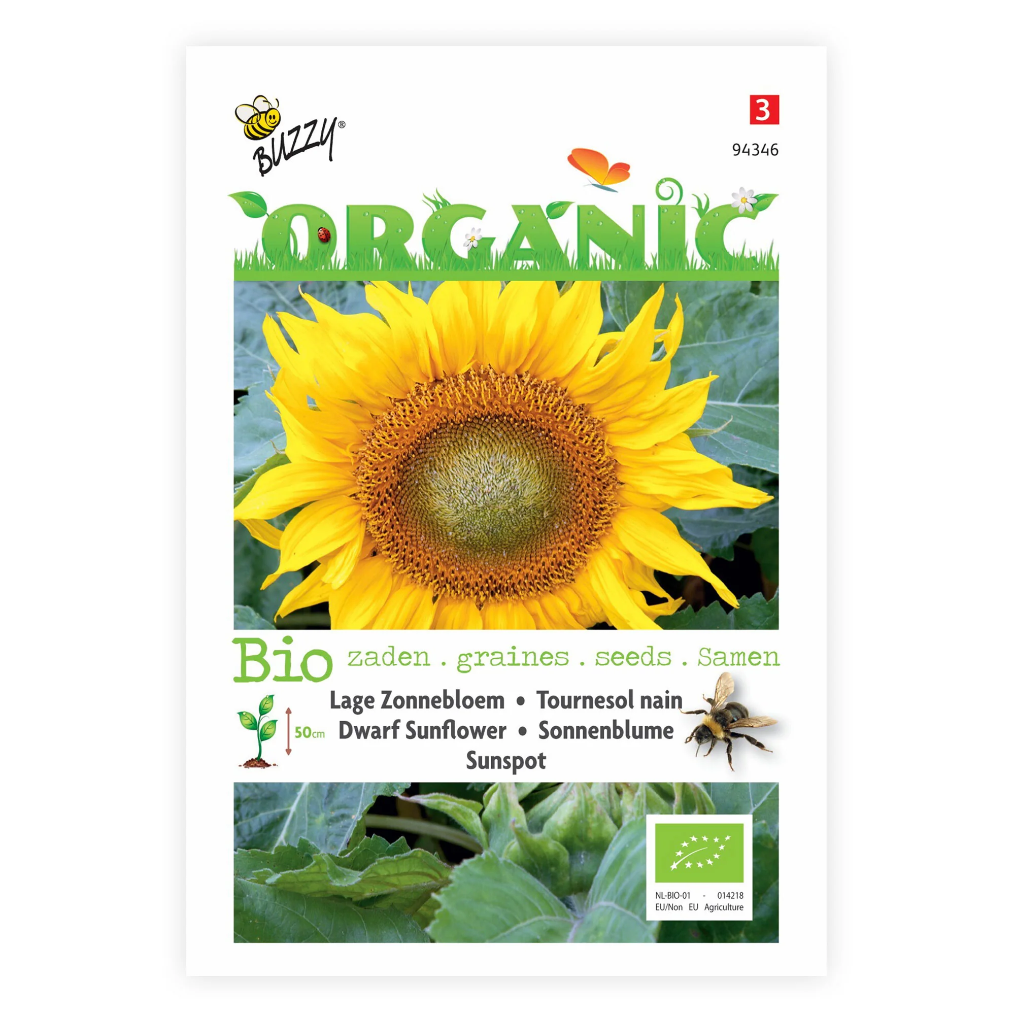 Tournesol Helianthus 'Sunspot' - Biologique jaune 3 m² - Semences de fleurs - Image 3