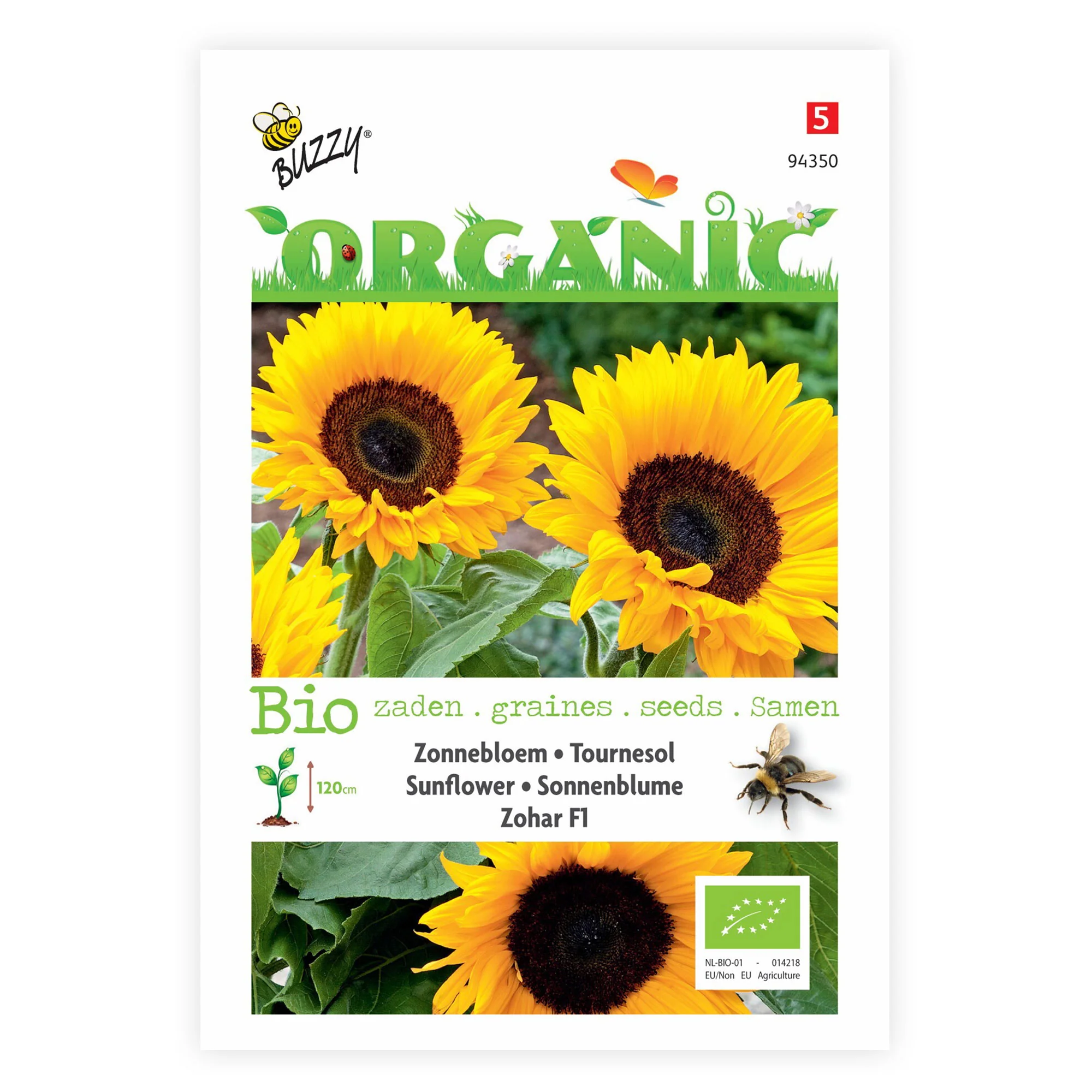 Tournesol Helianthus 'Zohar F1' - Biologique jaune 3 m² - Semences de fleurs - Image 2