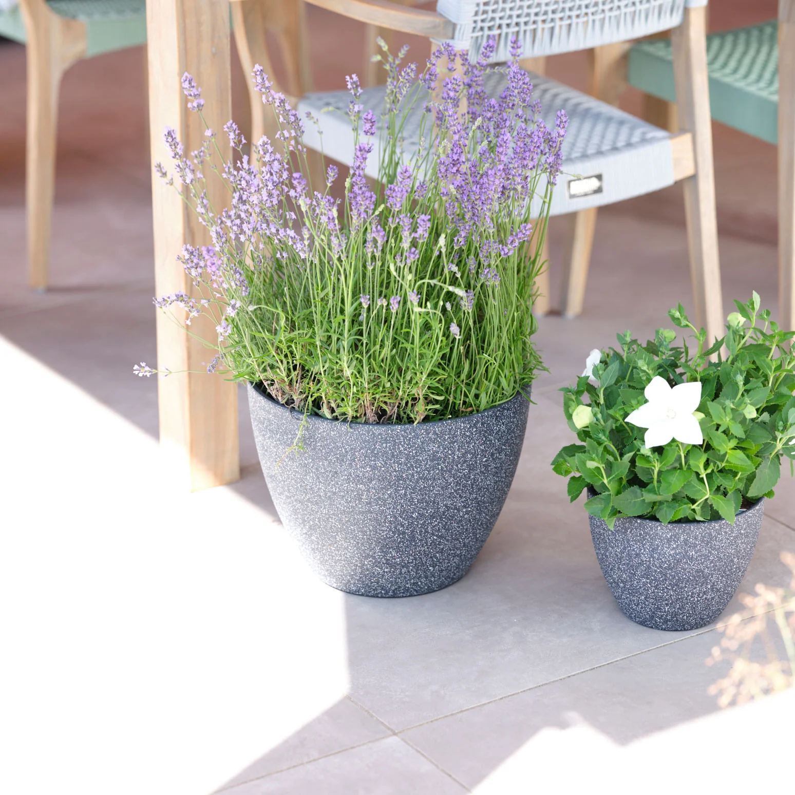 TS pot de fleurs Nova noir - Pot pour l'extérieur - Image 3